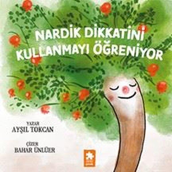 Ayşıl TokcanEgitim Etkinlik KitaplariNardik Dikkatini Kullanmayı Öğreniyor