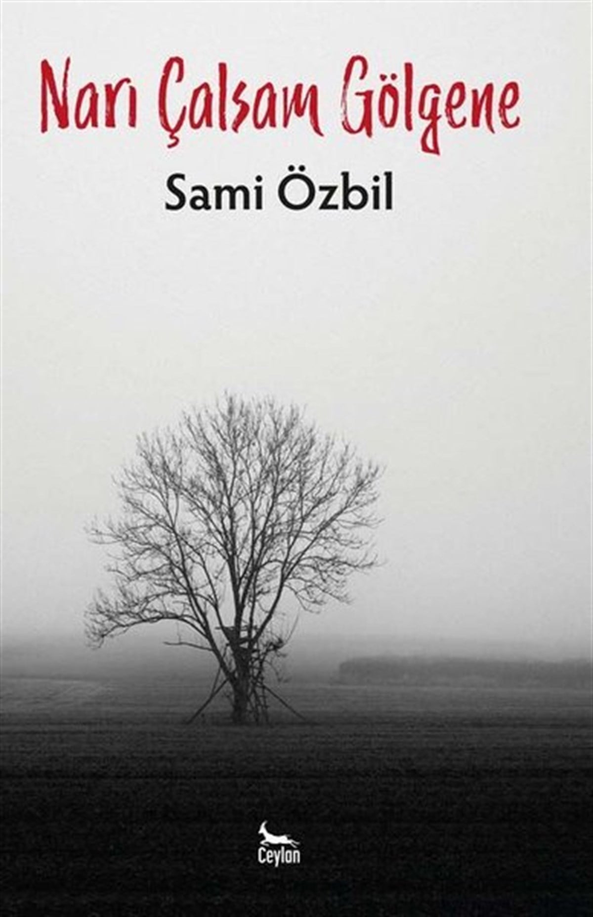 Sami ÖzbilTürk ŞiiriNarı Çalsam Gölgene