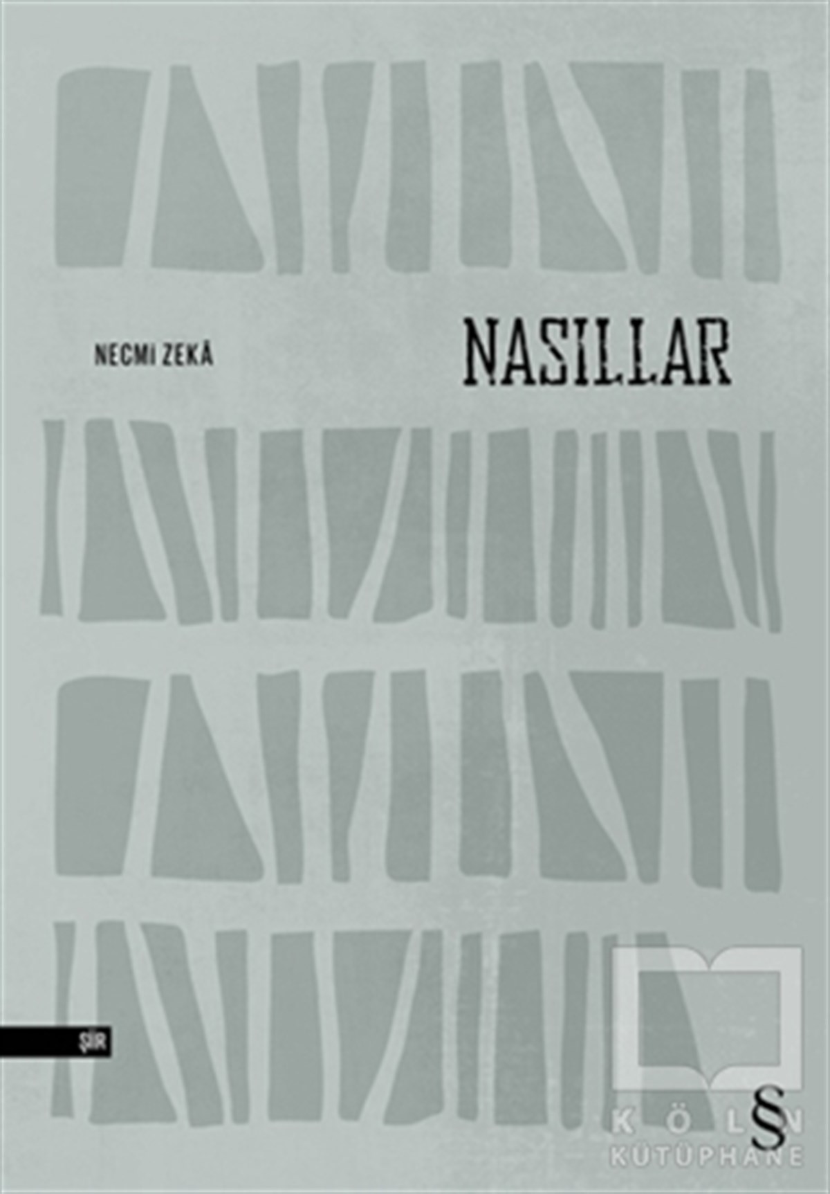Necmi ZekaŞiirNasıllar