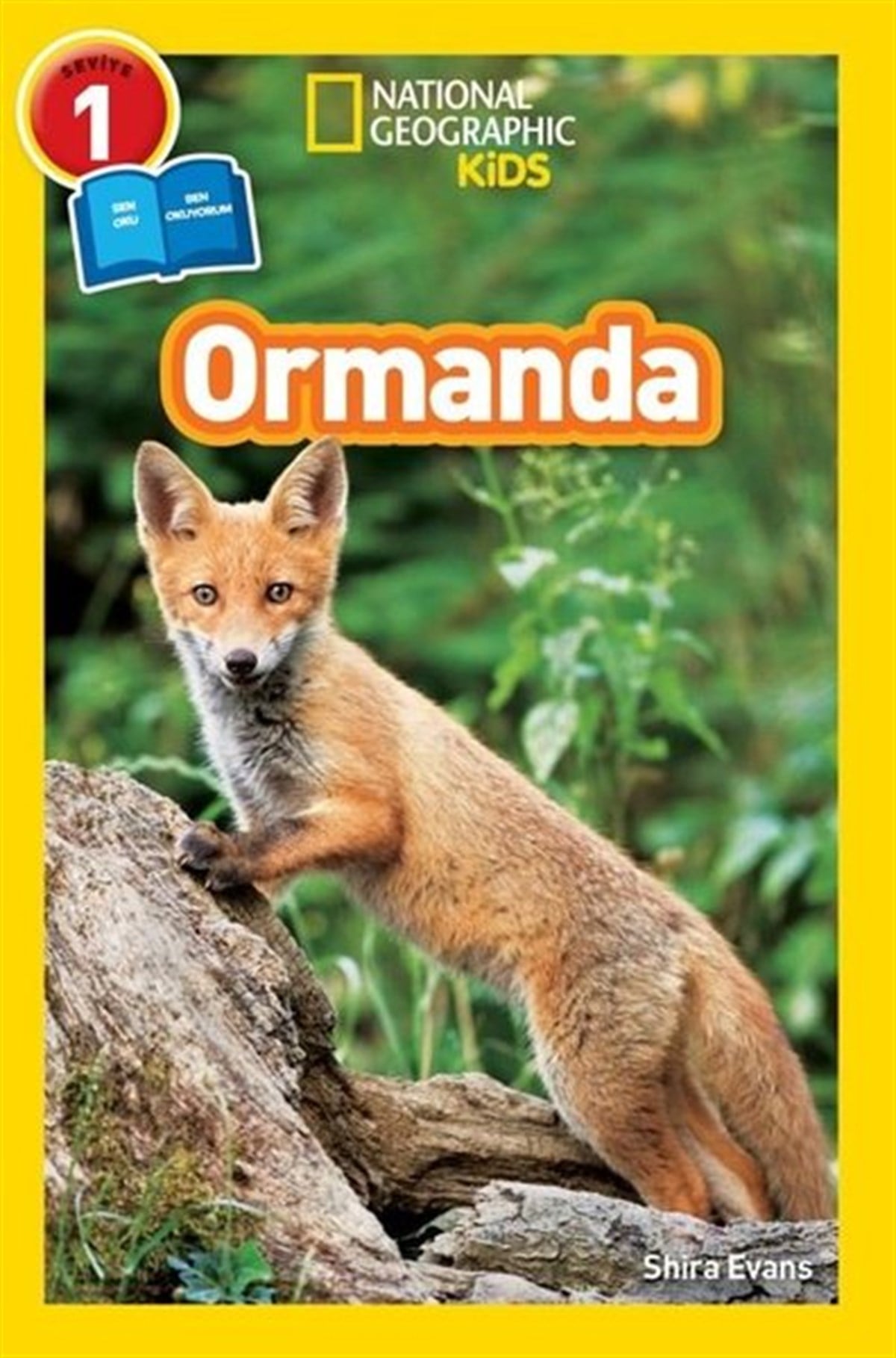 Shira EvansÇocuk Bilim KitaplarıNational Geographic Kids - Ormanda - Seviye 1