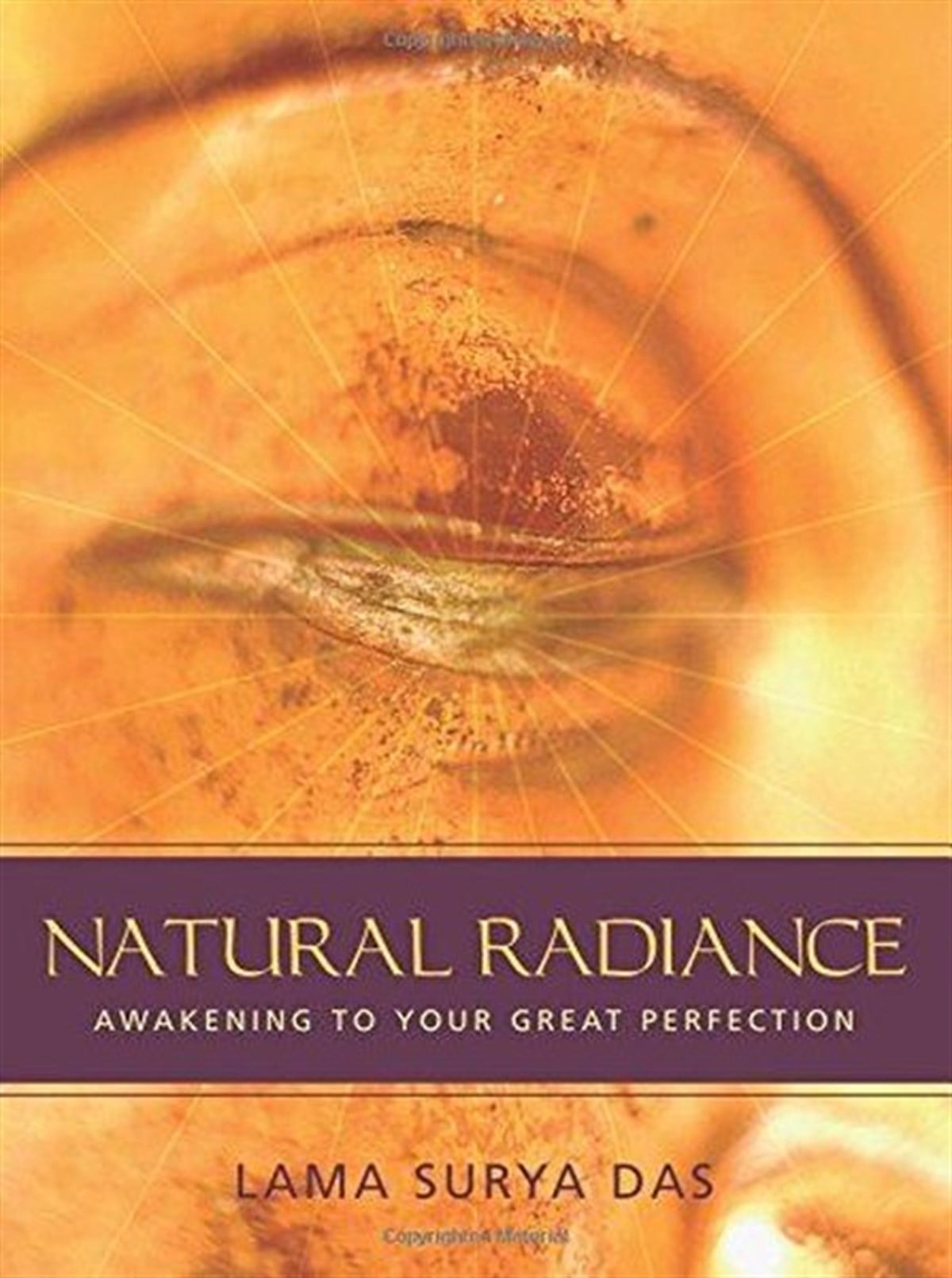Lama Surya DasLiteratureNatural Radiance