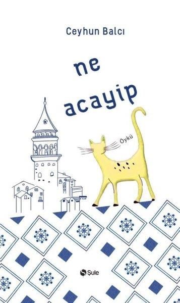 Ceyhun BalcıTürkiye RomanNe Acayip