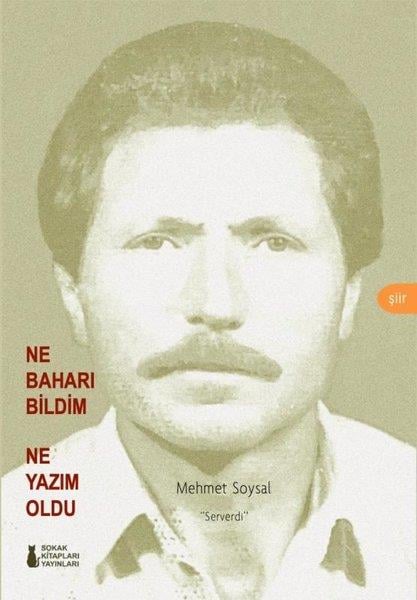 Mehmet SoysaldıTürk ŞiiriNe Baharı Bildim Ne Yazım Oldu