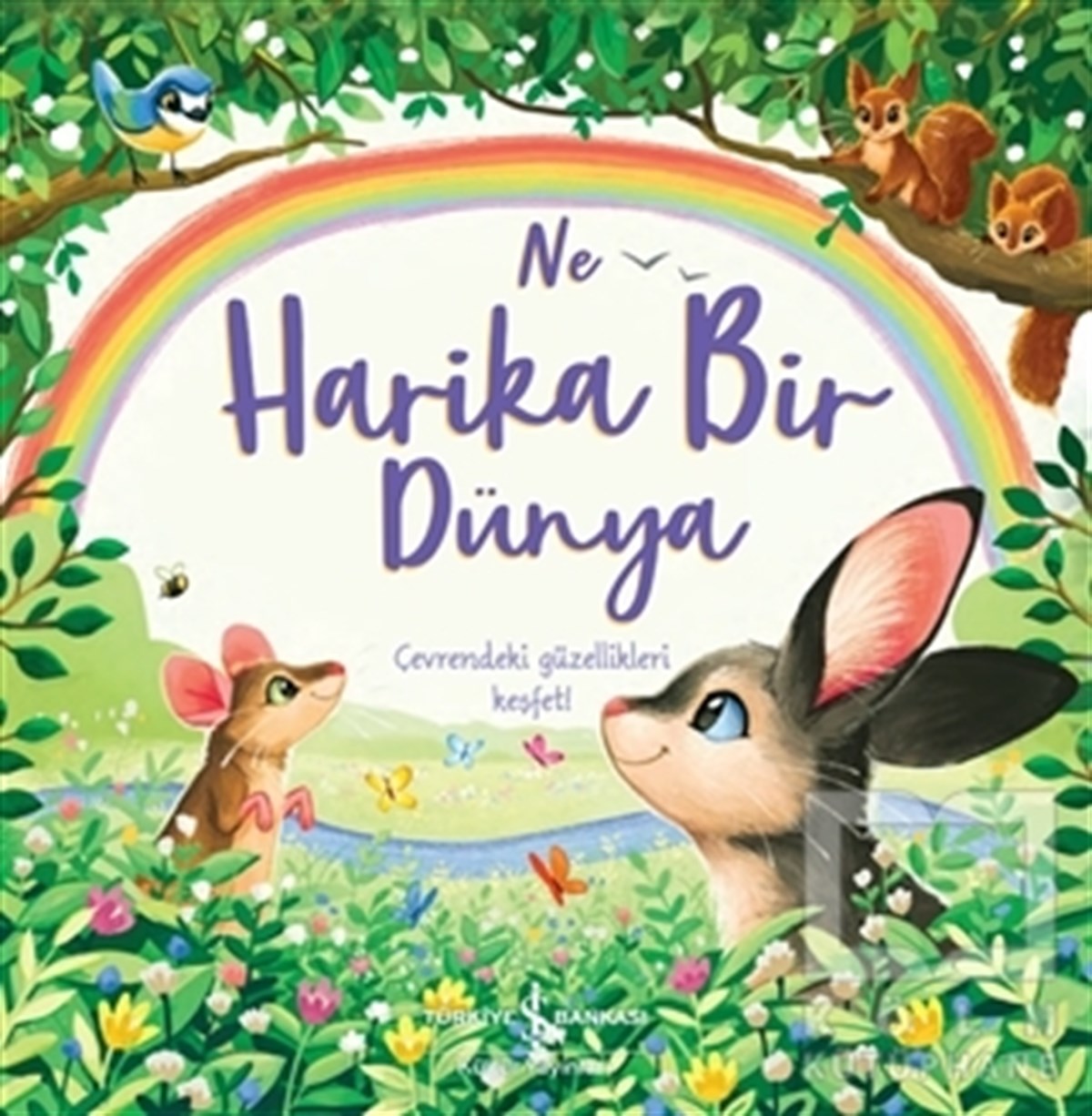 Hannah CamplingOkul Öncesi Çocuk KitaplarıNe Harika Bir Dünya