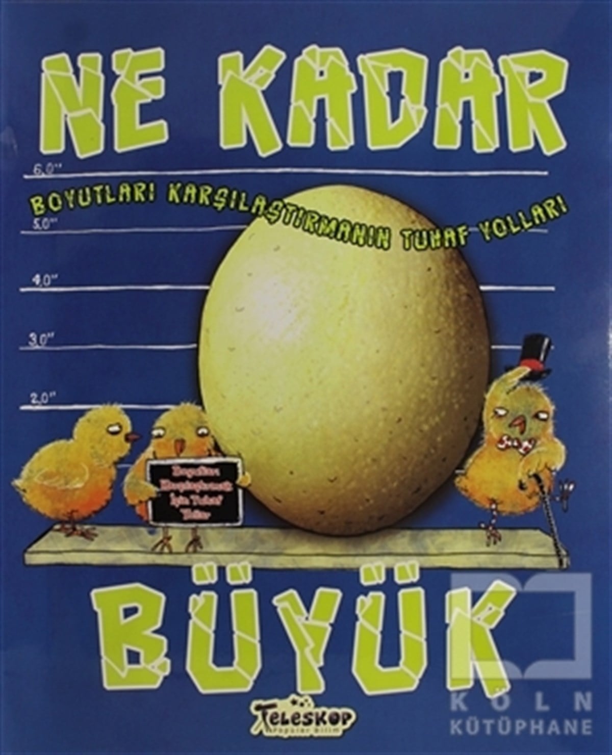 Jessica GundersonHikayelerNe Kadar Büyük