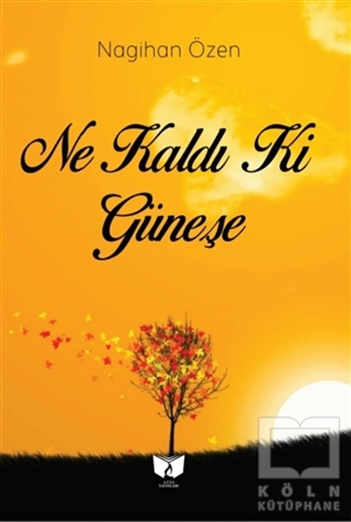 Nagihan ÖzenTürkçe Şiir KitaplarıNe Kaldı Ki Güneşe