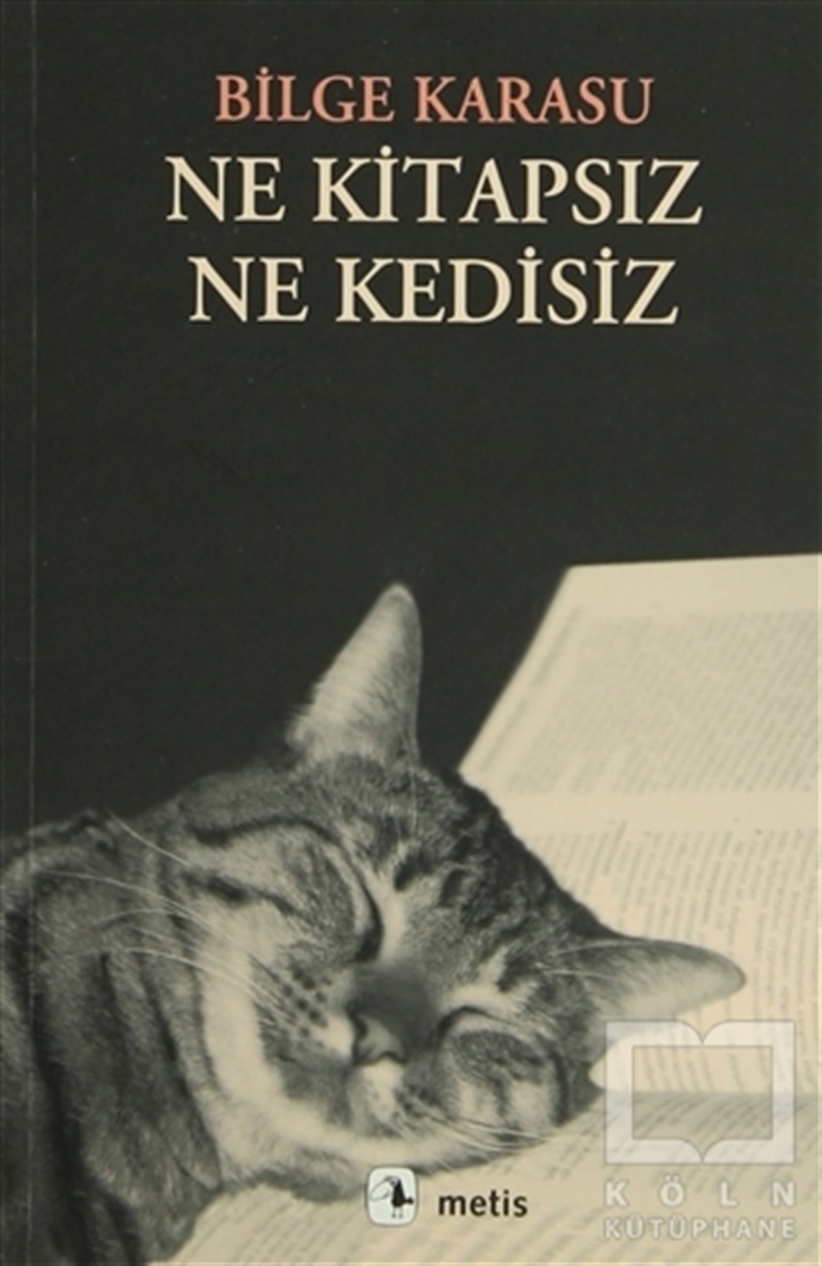 Bilge KarasuÖyküNe Kitapsız Ne Kedisiz