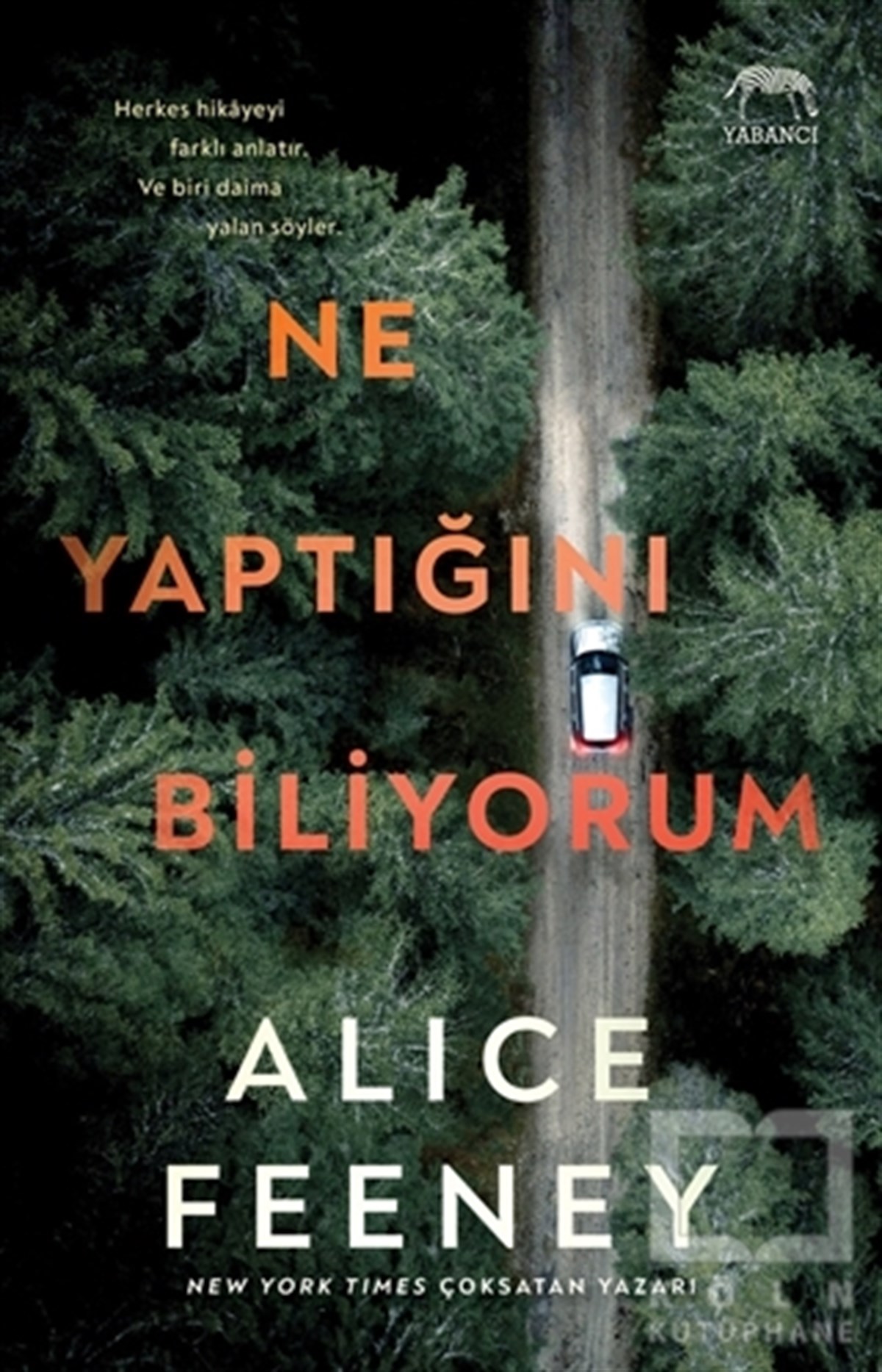 Alice FeeneyPolisiye Romanlar & Cinayet RomanlarıNe Yaptığını Biliyorum