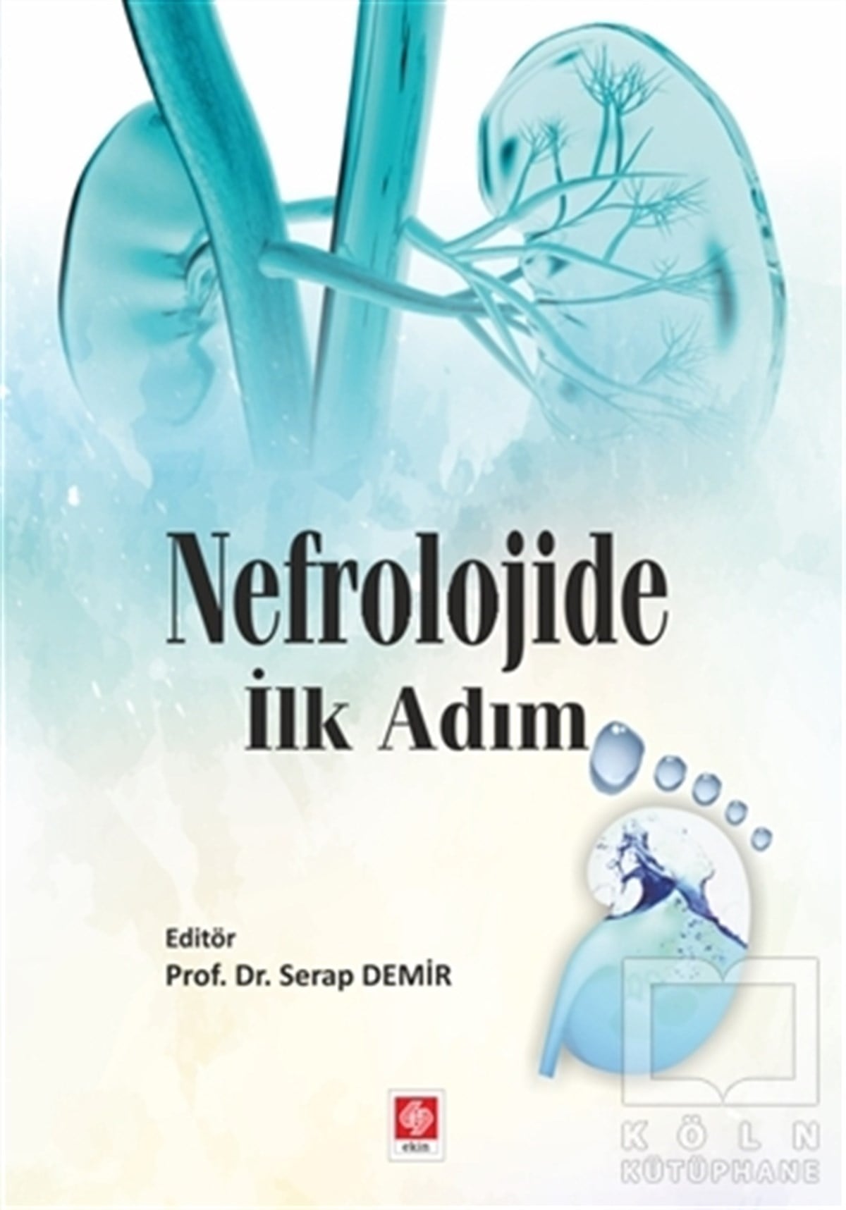 Serap DemirTıp BilimleriNefrolojide İlk Adım