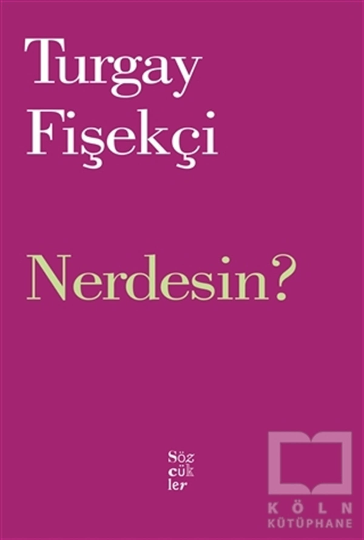 Turgay FişekçiŞiirNerdesin?