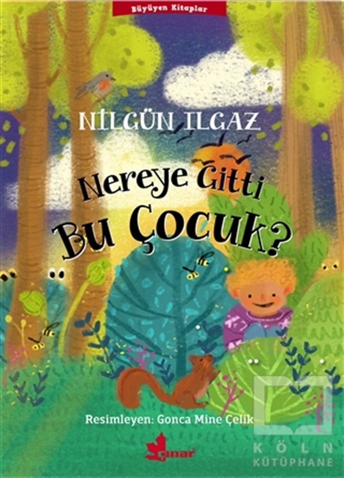 Nilgün IlgazHikayelerNereye Gitti Bu Çocuk?