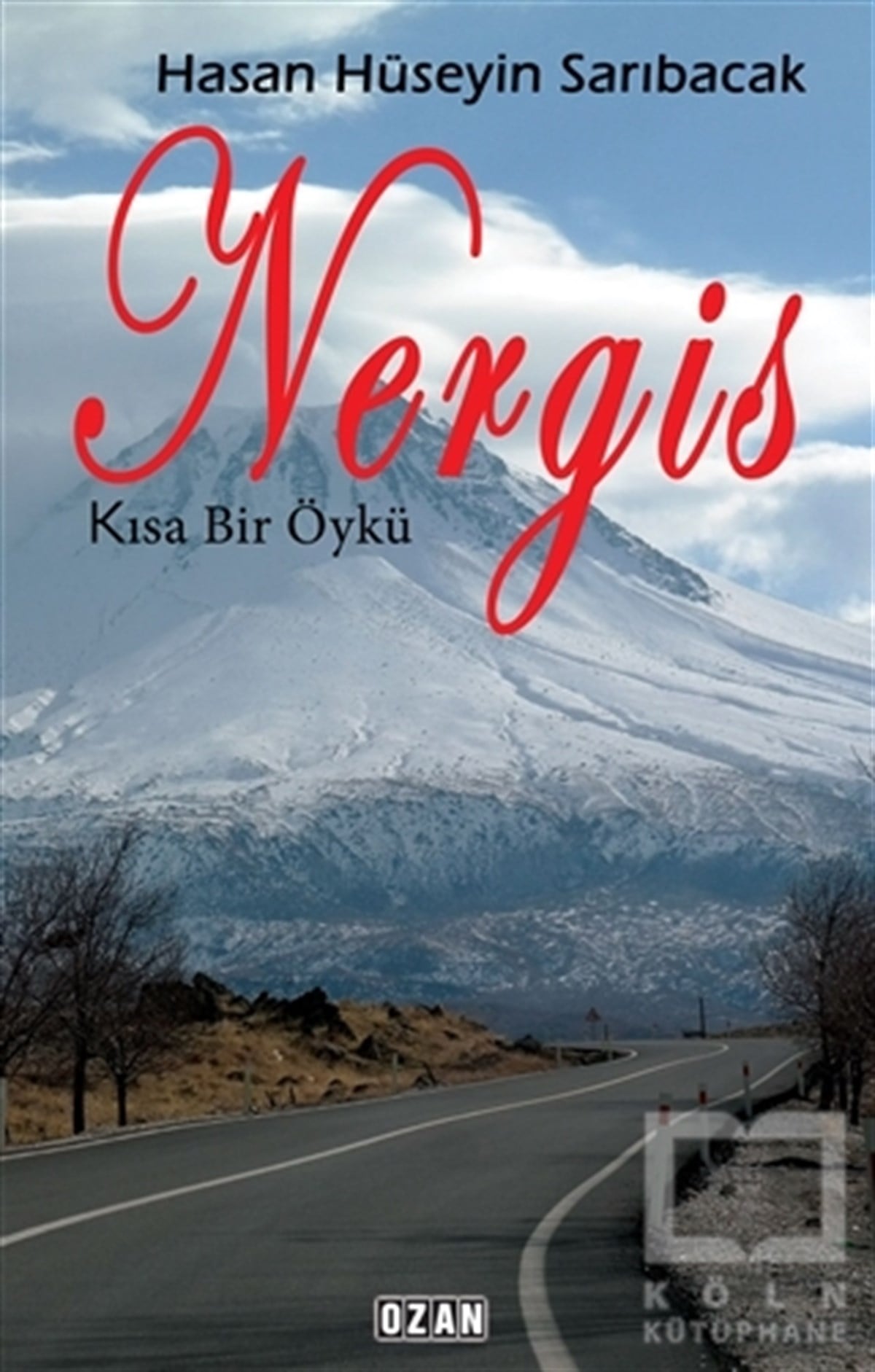 Hasan Hüseyin SarıbacakHikaye (Öykü) KitaplarıNergis