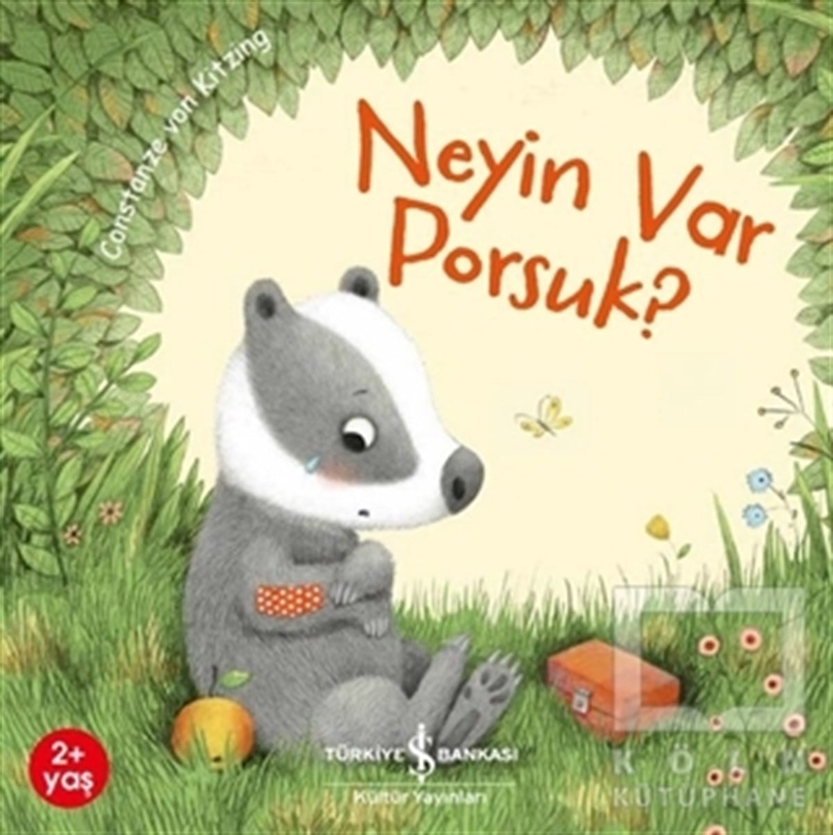 Constanze Von KitzingOkul Öncesi Çocuk KitaplarıNeyin Var Porsuk?
