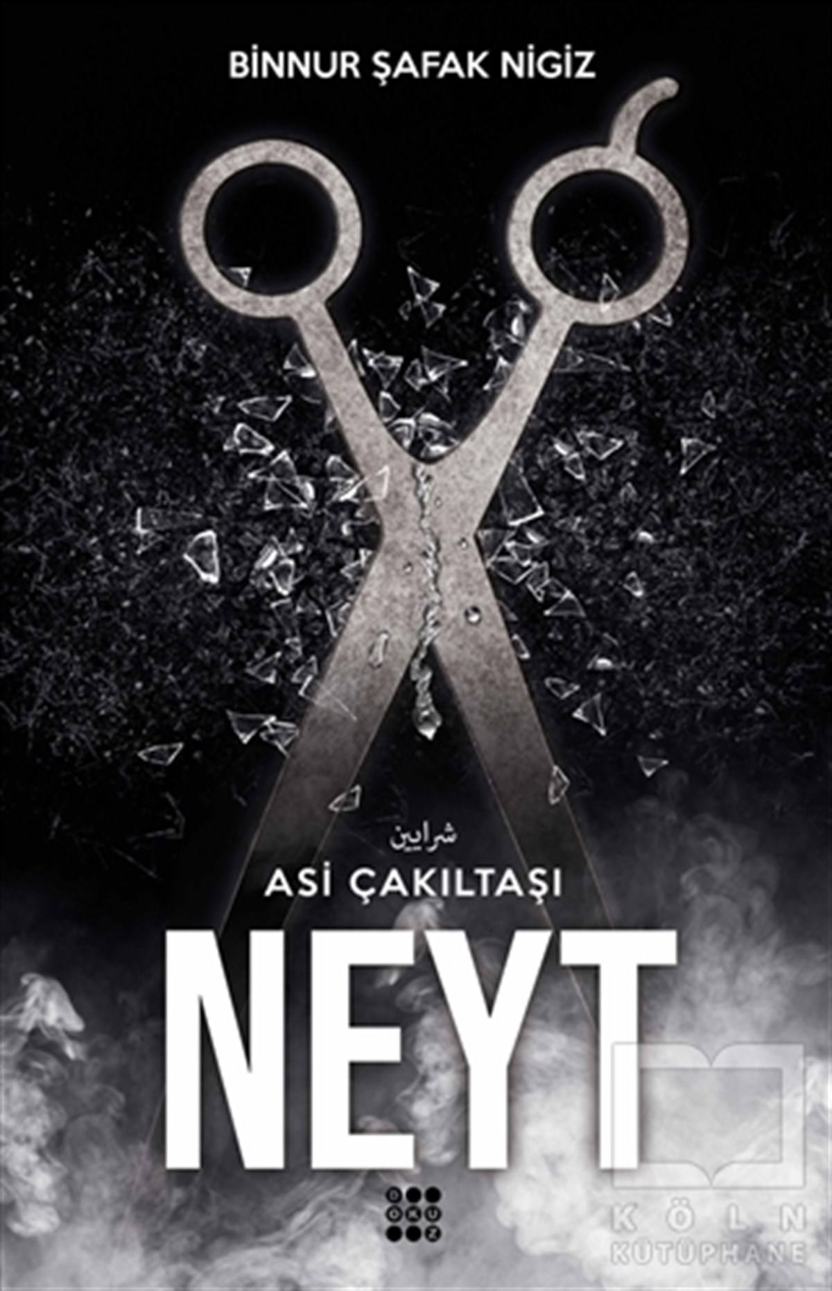 Binnur Şafak NigizRomanNeyt - Asi Çakıltaşı Serisi 3