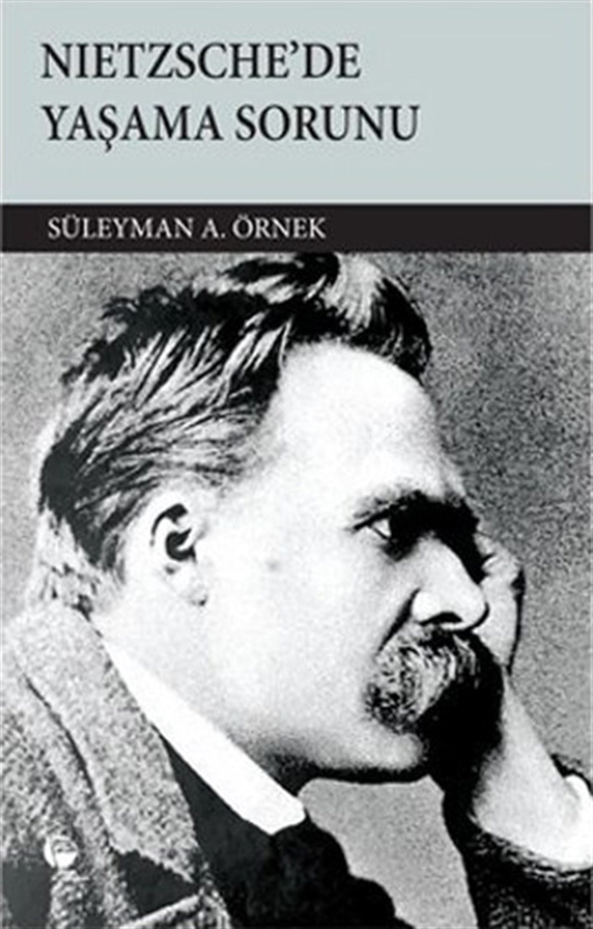 Süleyman A. ÖrnekFelsefe BilimiNietzsche'de Yaşama Sorunu