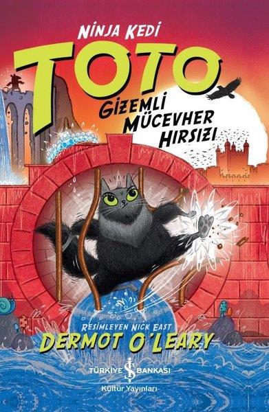 Dermot O'LearyÇocuk Gençlik RomanlarıNinja Kedi Toto - Gizemli Mücevher Hırsızı