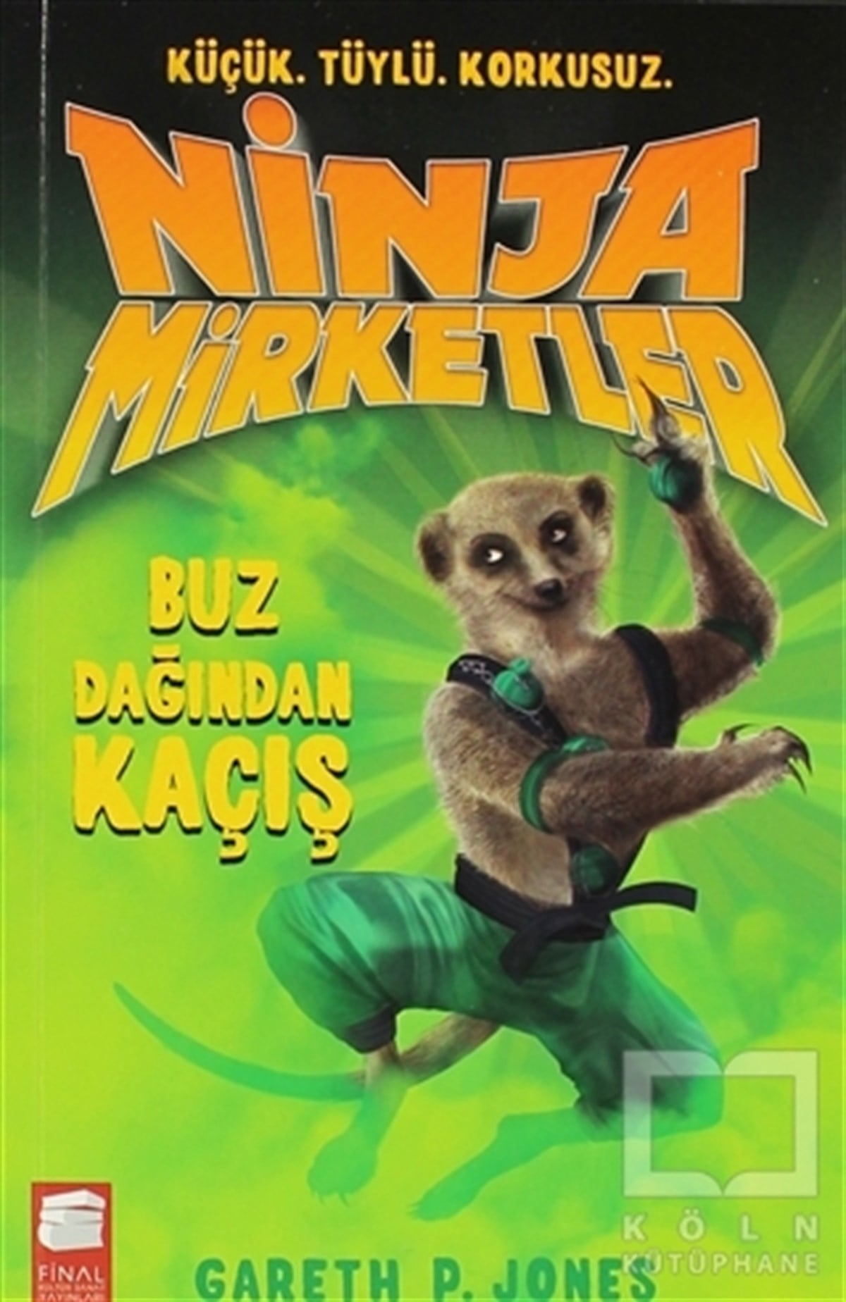 Gareth P. JonesRoman-ÖyküNinja Mirketler - Buz Dağından Kaçış