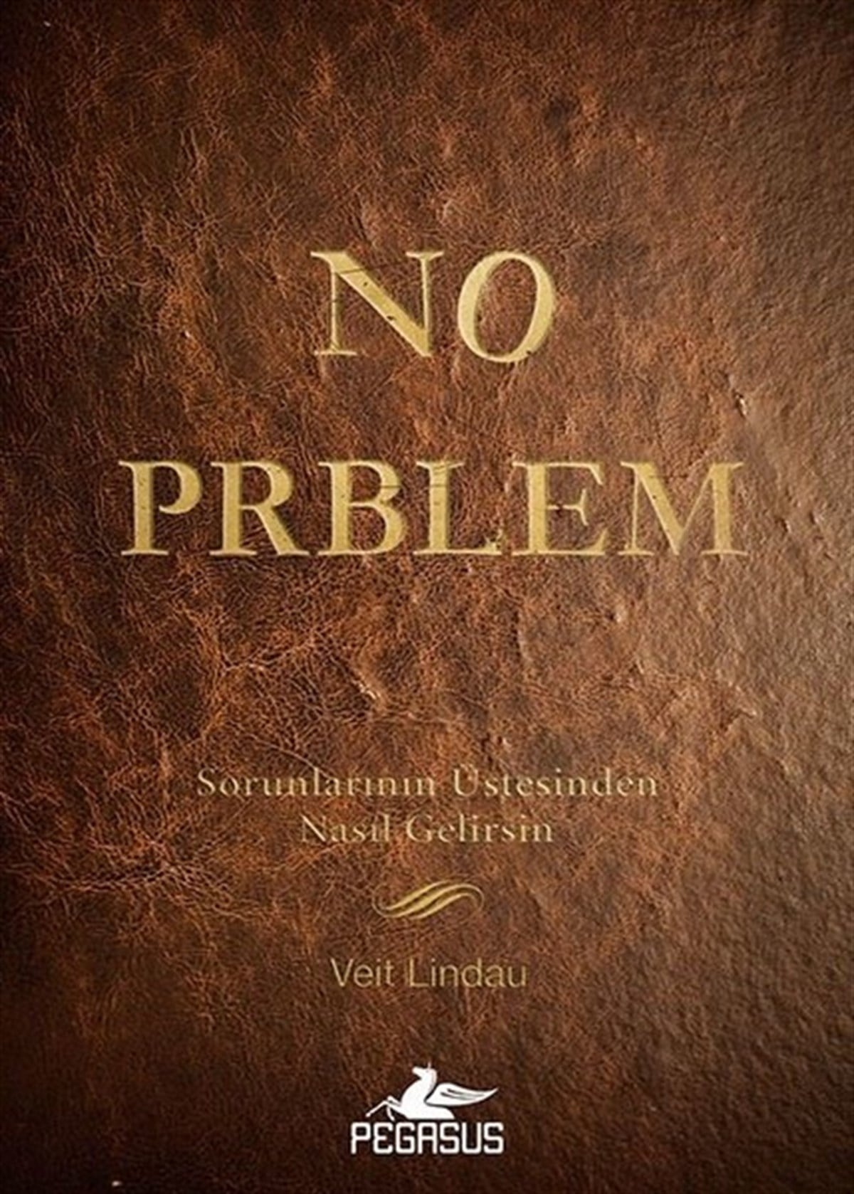 Veit LindauKişisel Gelişim KitaplarıNo Prblem