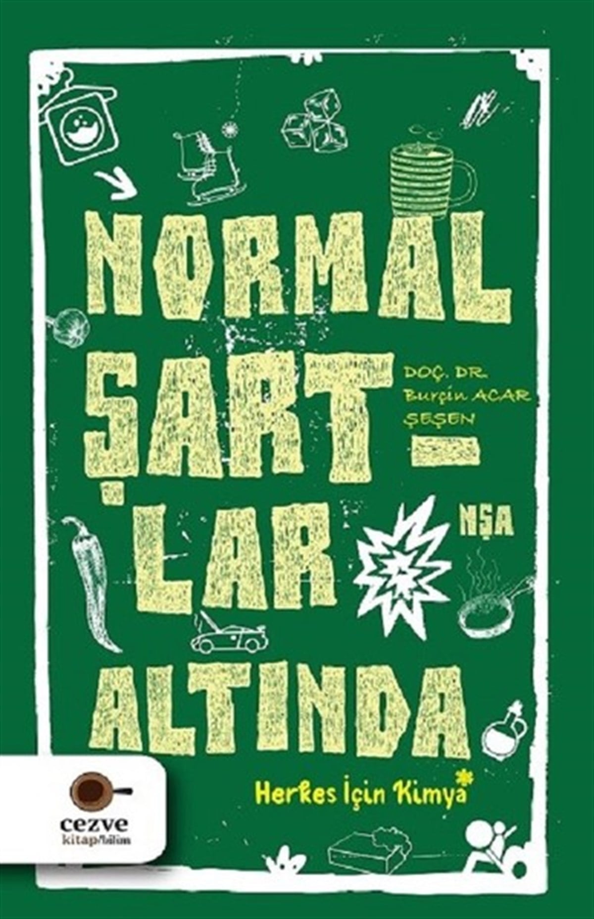 Burçin AcarPopüler Bilim KitaplarıNormal Şartlar Altında