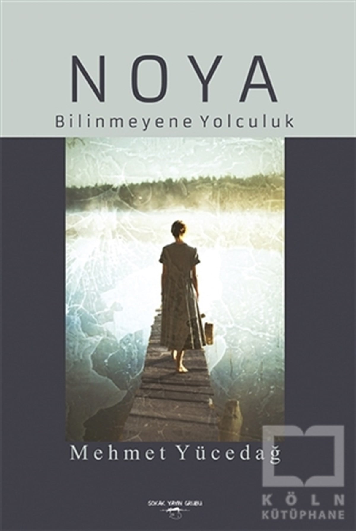 Mehmet YücedağTürkçe RomanlarNoya