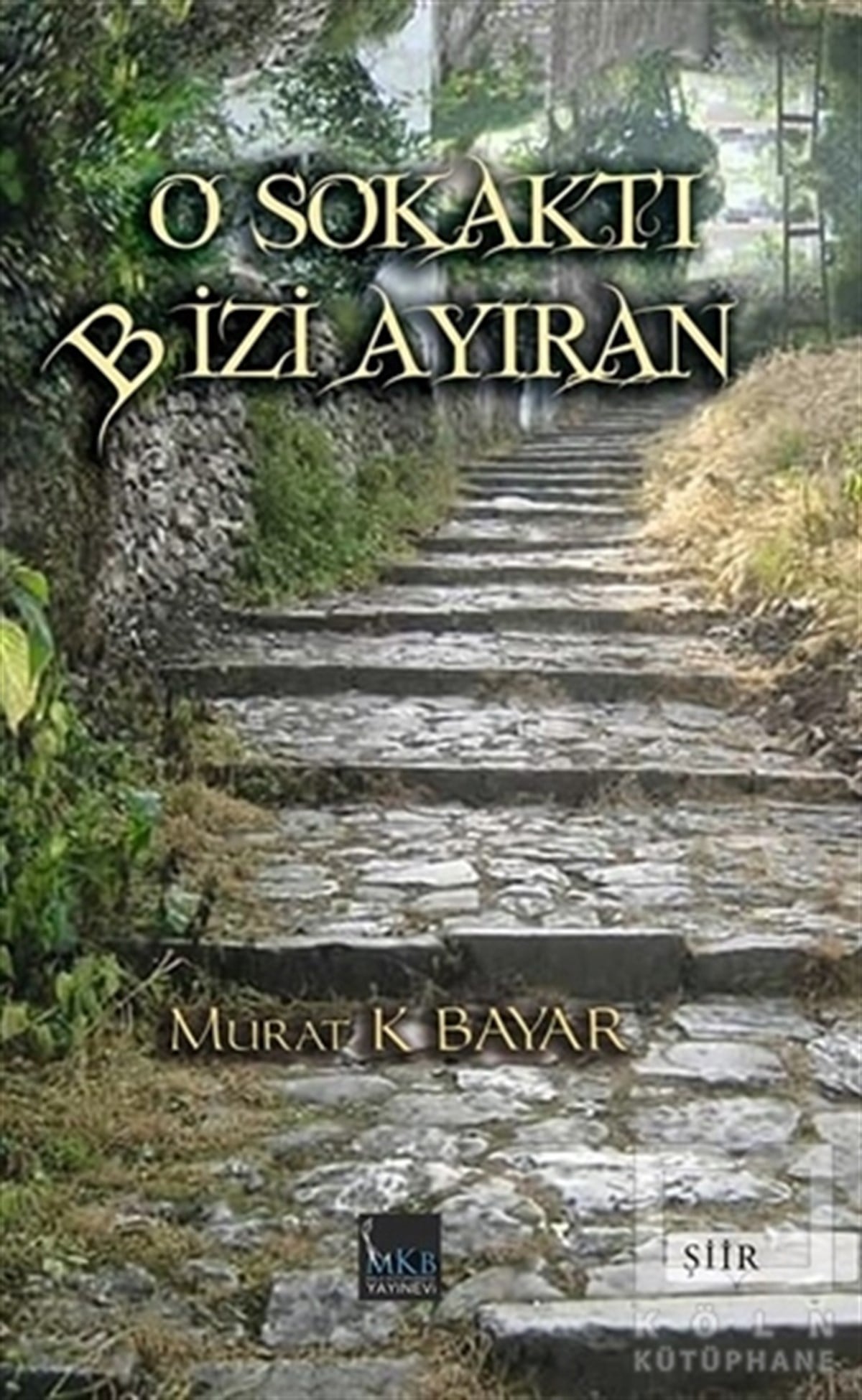 Murat BayarŞiirO Sokaktı Bizi Ayıran