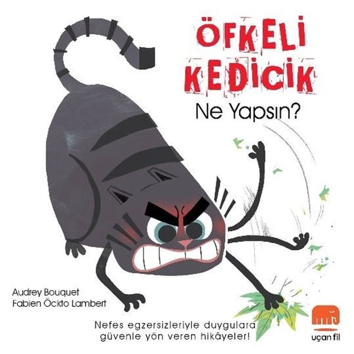 Audrey BouquetEgitim Etkinlik KitaplariÖfkeli Kedicik Ne Yapsın?
