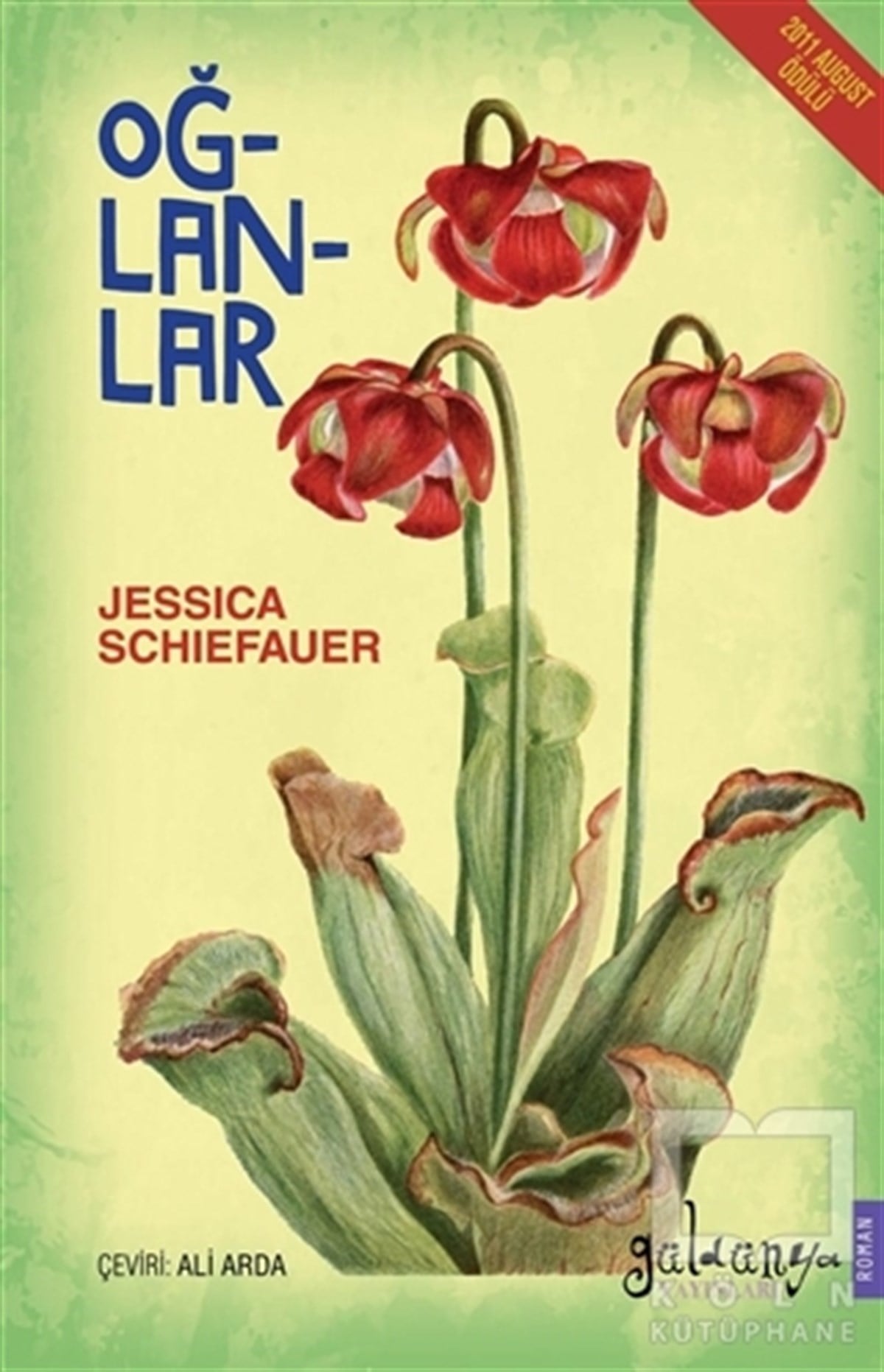 Jessica SchiefauerTürkçe RomanlarOğlanlar