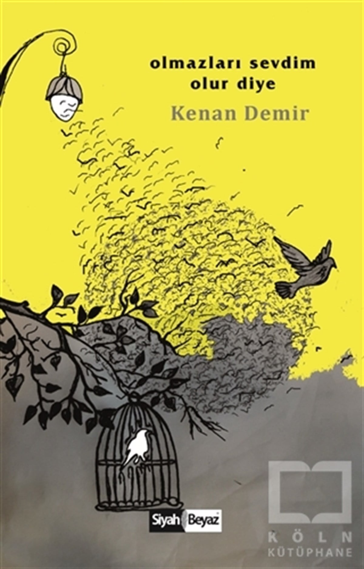 Kenan DemirTürkçe RomanlarOlmazları Sevdim Olur Diye