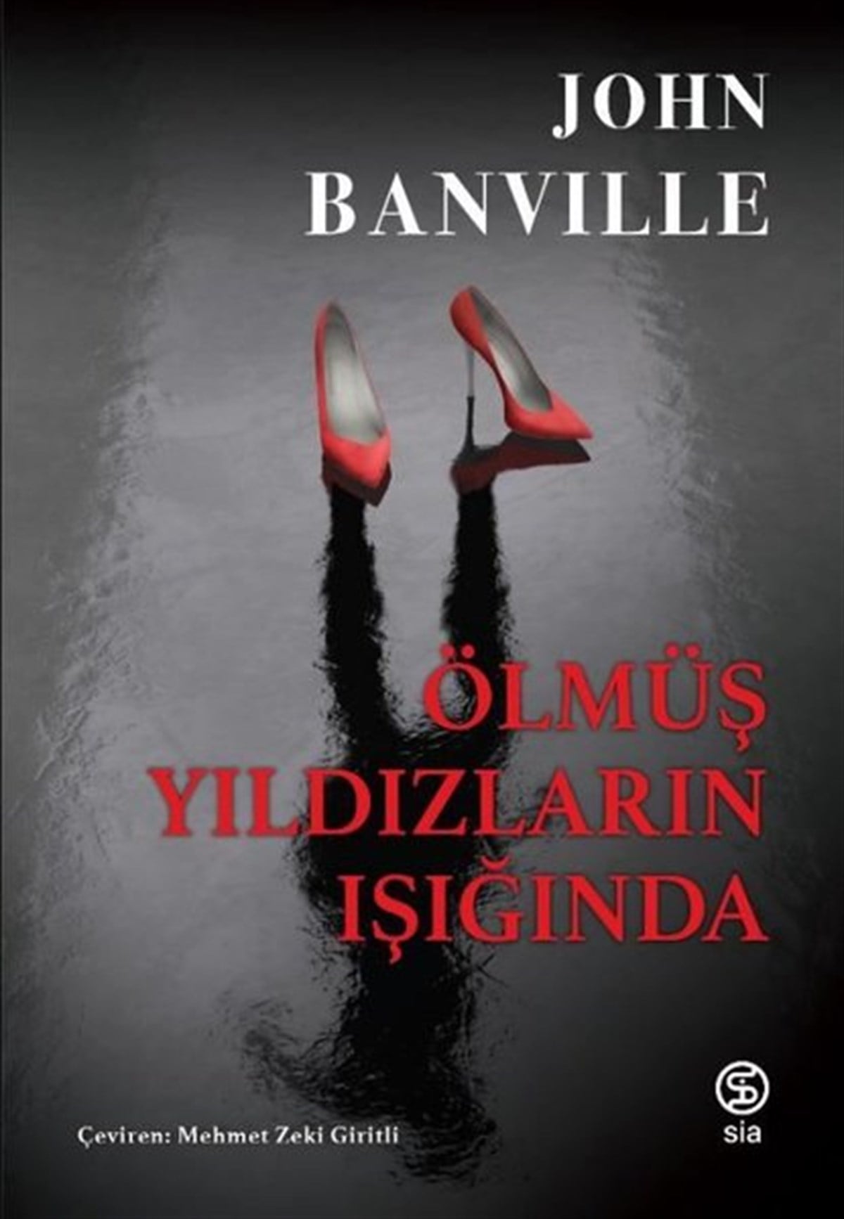 John BanvilleDünya RomanÖlmüş Yıldızların Işığında