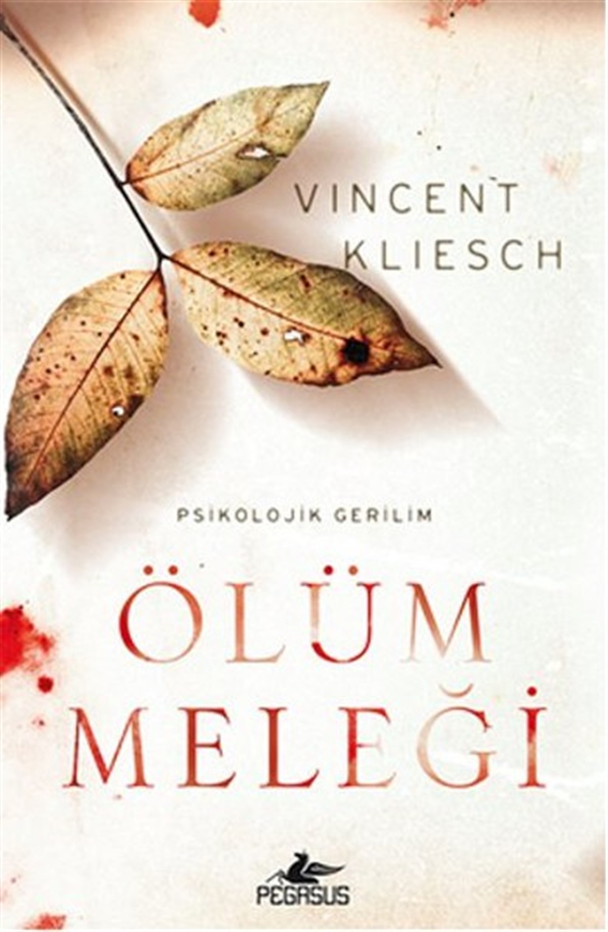Vincent KlieschKorku Kitapları & Gerilim KitaplarıÖlüm Meleği