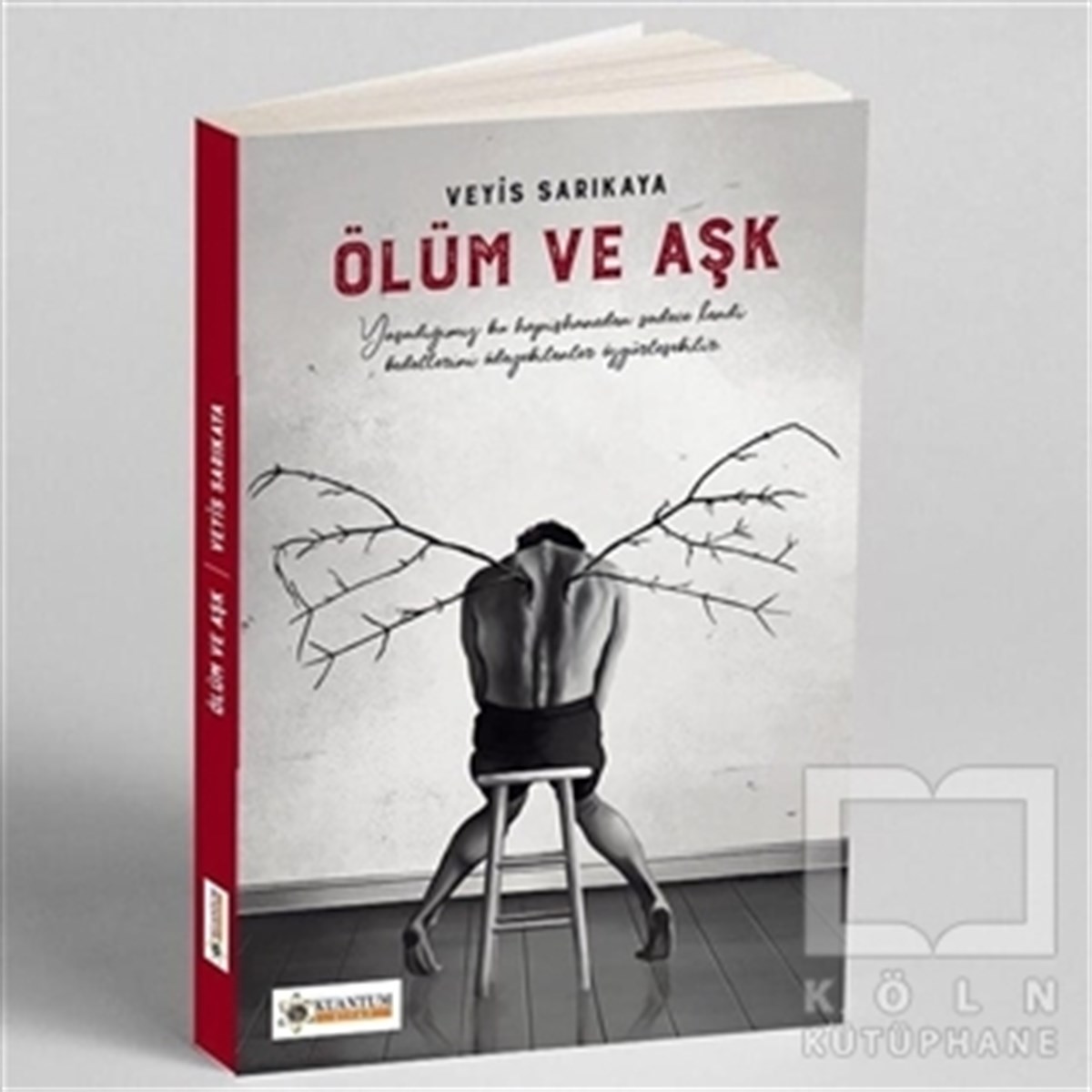 Veyis SarıkayaTürkçe RomanlarÖlüm Ve Aşk