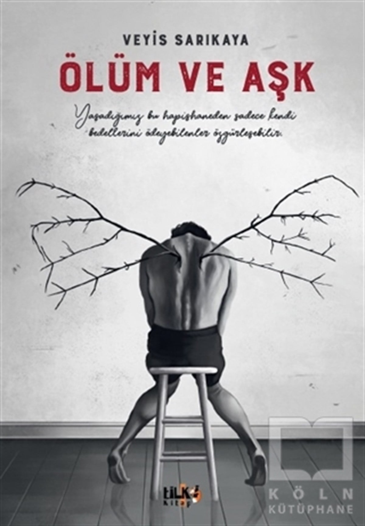 Veyis SarıkayaTürkçe RomanlarÖlüm ve Aşk