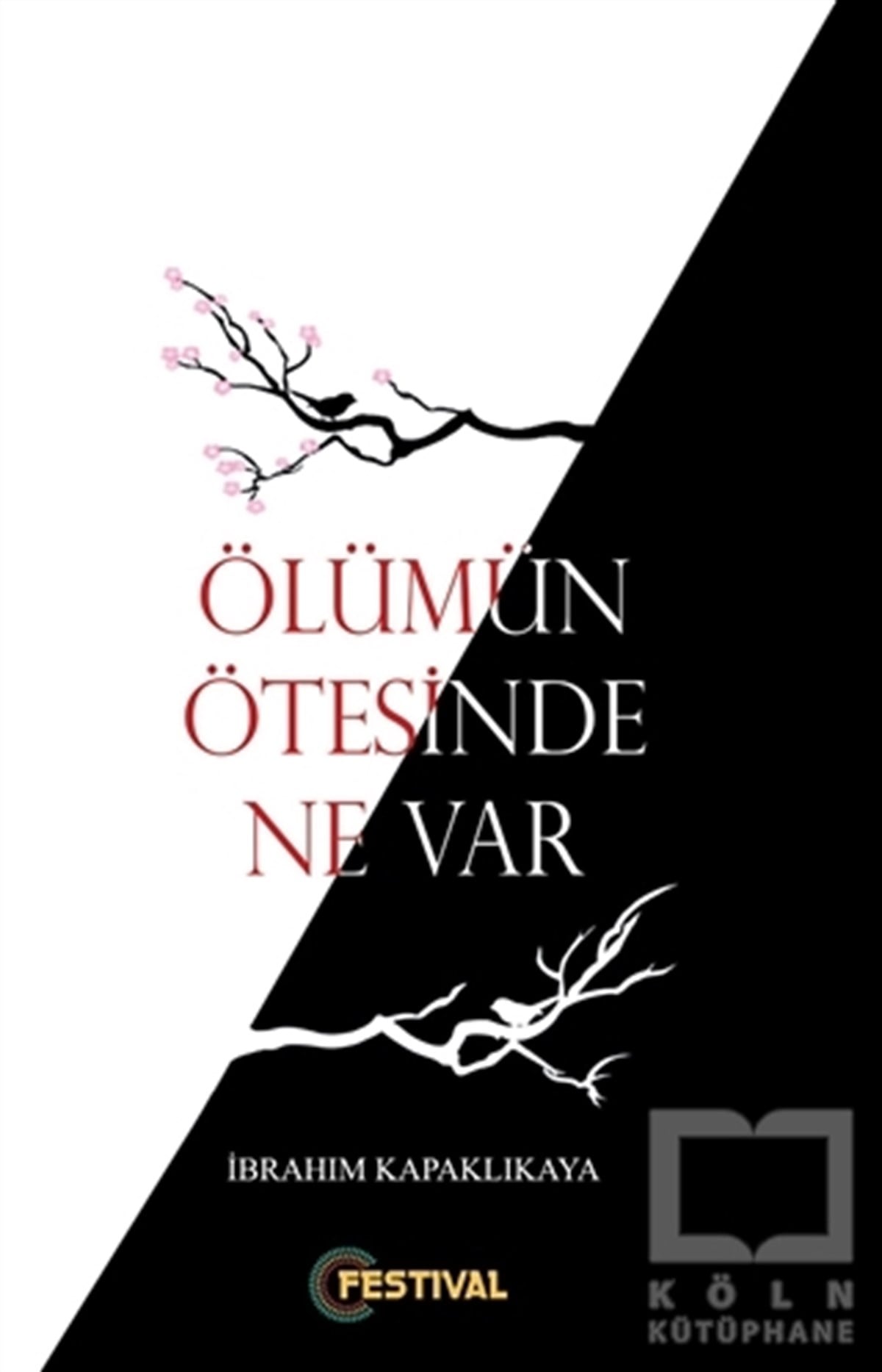 İbrahim KapaklıkayaAraştırma-İnceleme-ReferansÖlümün Ötesinde Ne Var ?