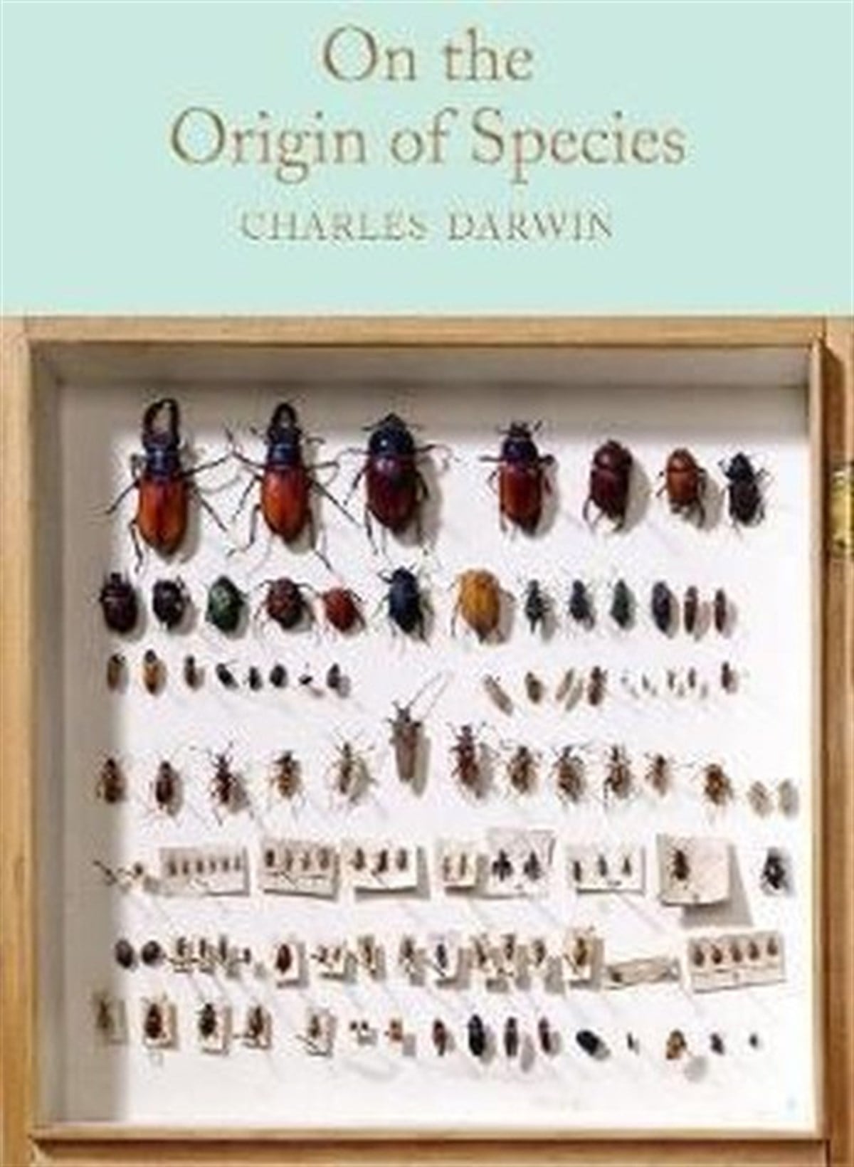 Charles DarwinClassicsOn the Origin of Species (Macmillan Collector's Library)