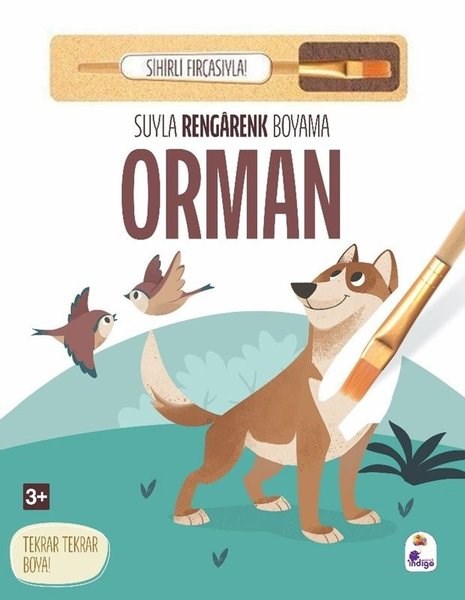 KolektifEgitim Etkinlik KitaplariOrman - Suyla Rengarenk Boyama - Sihirli Fırçasıyla!