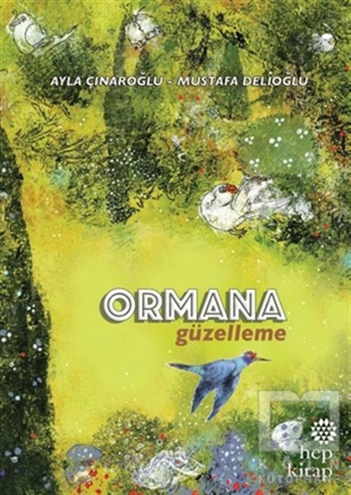 Ayla ÇınaroğluHikayelerOrmana Güzelleme