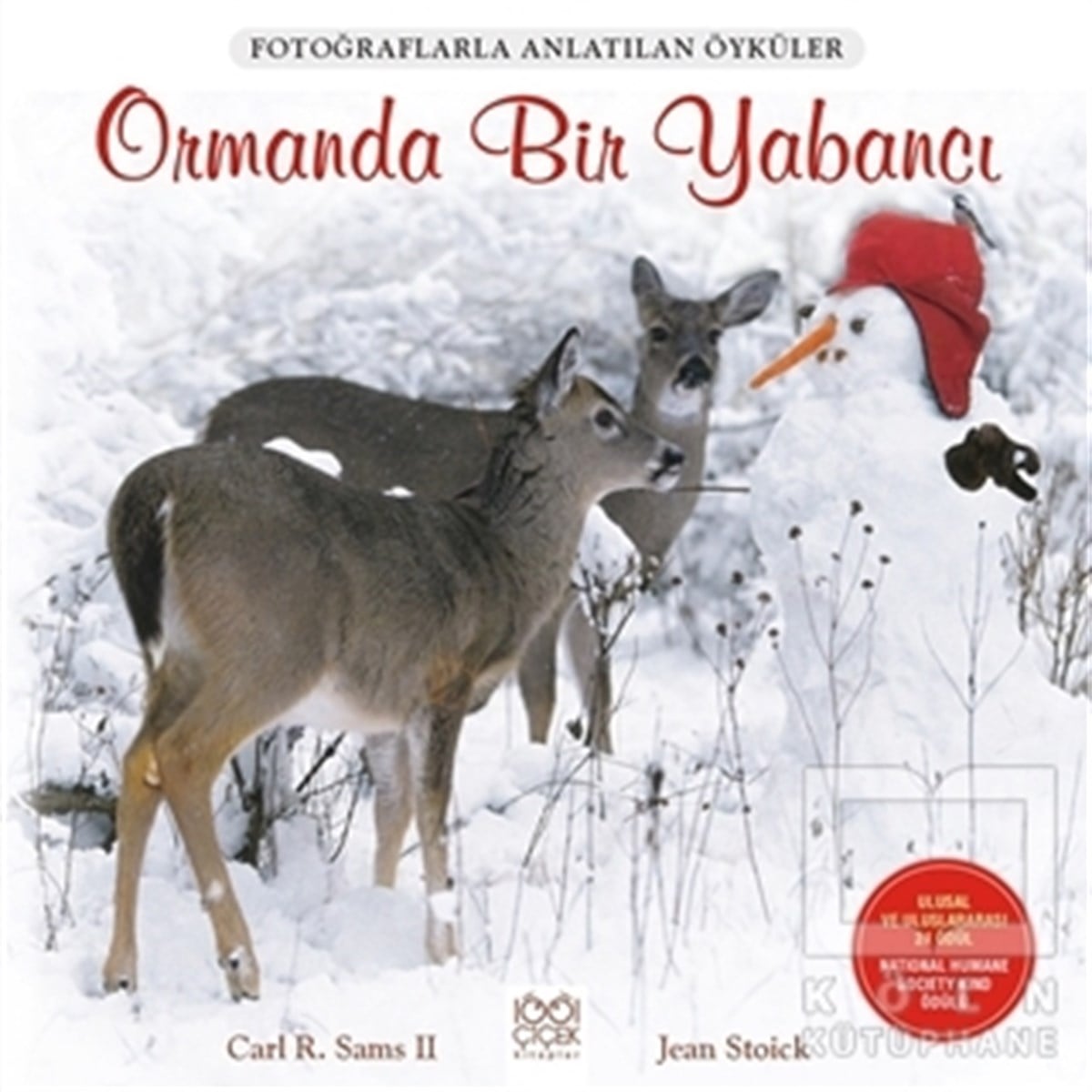 Carl R. Sams IIRoman-ÖyküOrmanda Bir Yabancı