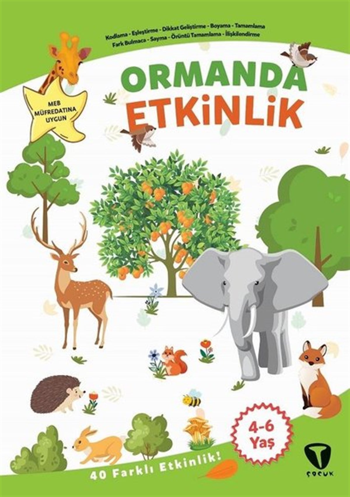 Fatma Hazan TürkkolEgitim Etkinlik KitaplariOrmanda Etkinlik