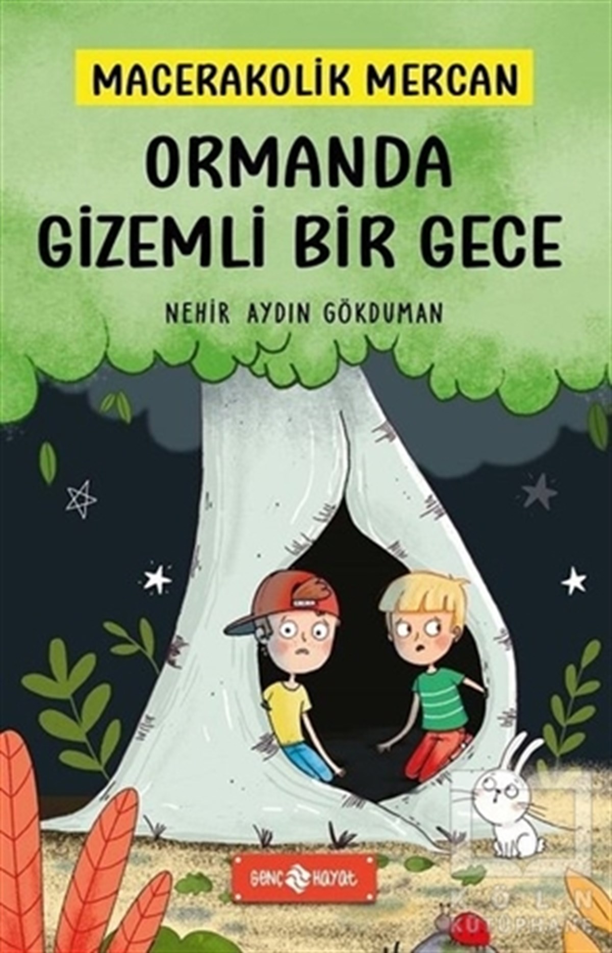 Nehir Aydın GökdumanÇocuk RomanlarıOrmanda Gizemli Bir Gece - Macerakolik Mercan 1