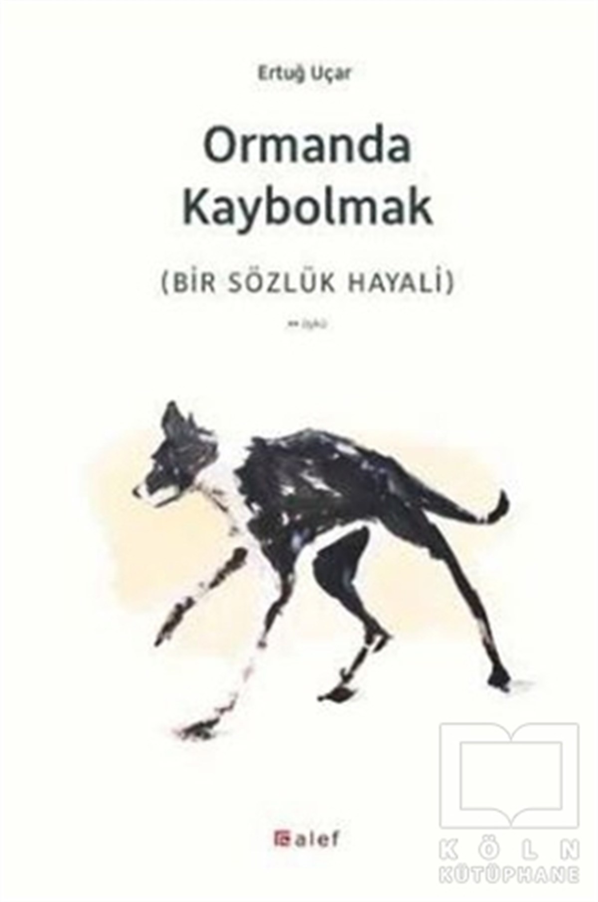 Ertuğ UçarÖyküOrmanda Kaybolmak