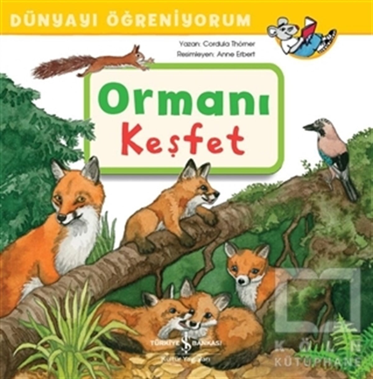 Cordula ThörnerZeka Gelişimi KitaplarıOrmanı Keşfet - Dünyayı Öğreniyorum