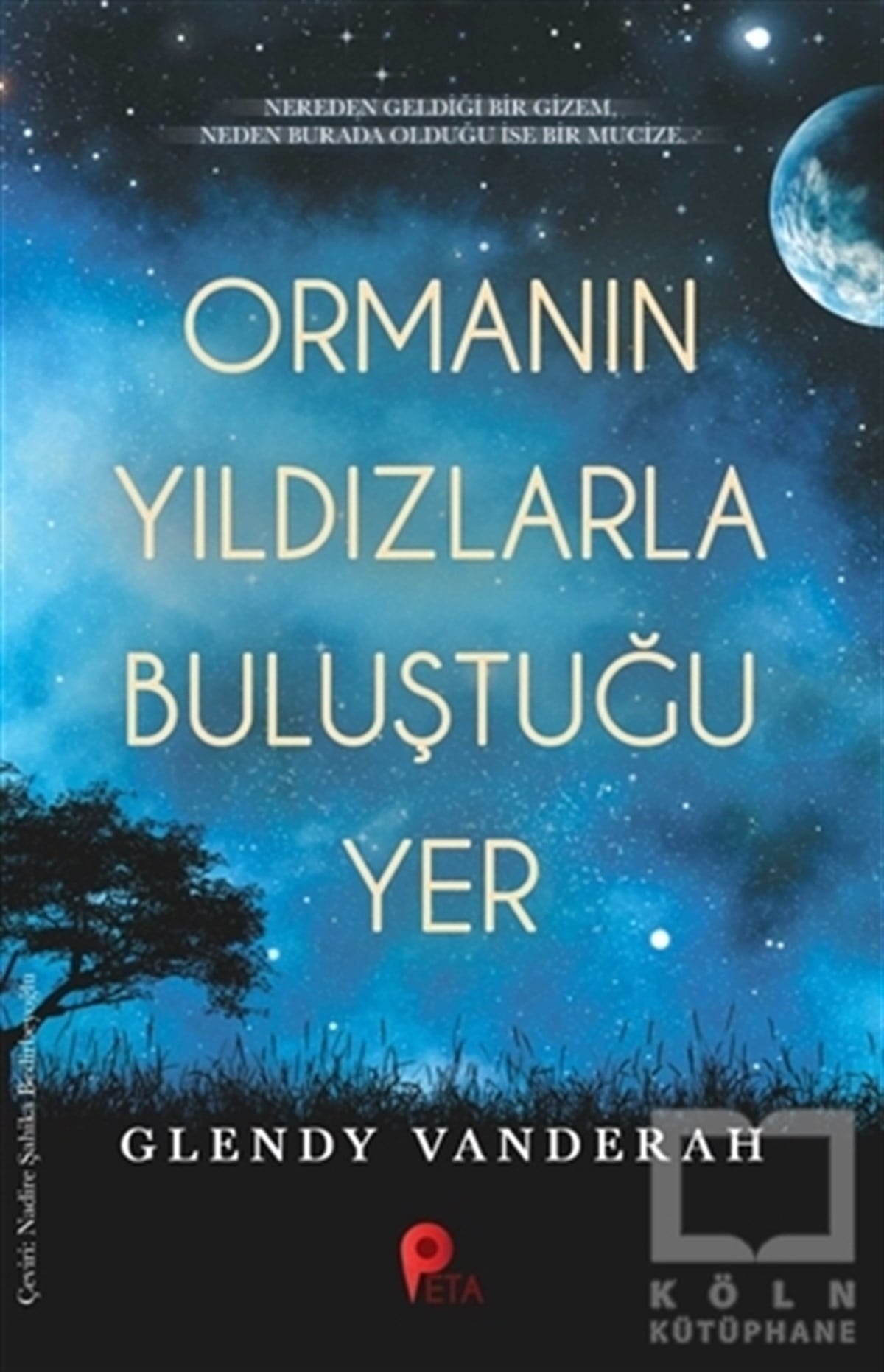 Glendy VanderahTürkçe RomanlarOrmanın Yıldızlarla Buluştuğu Yer