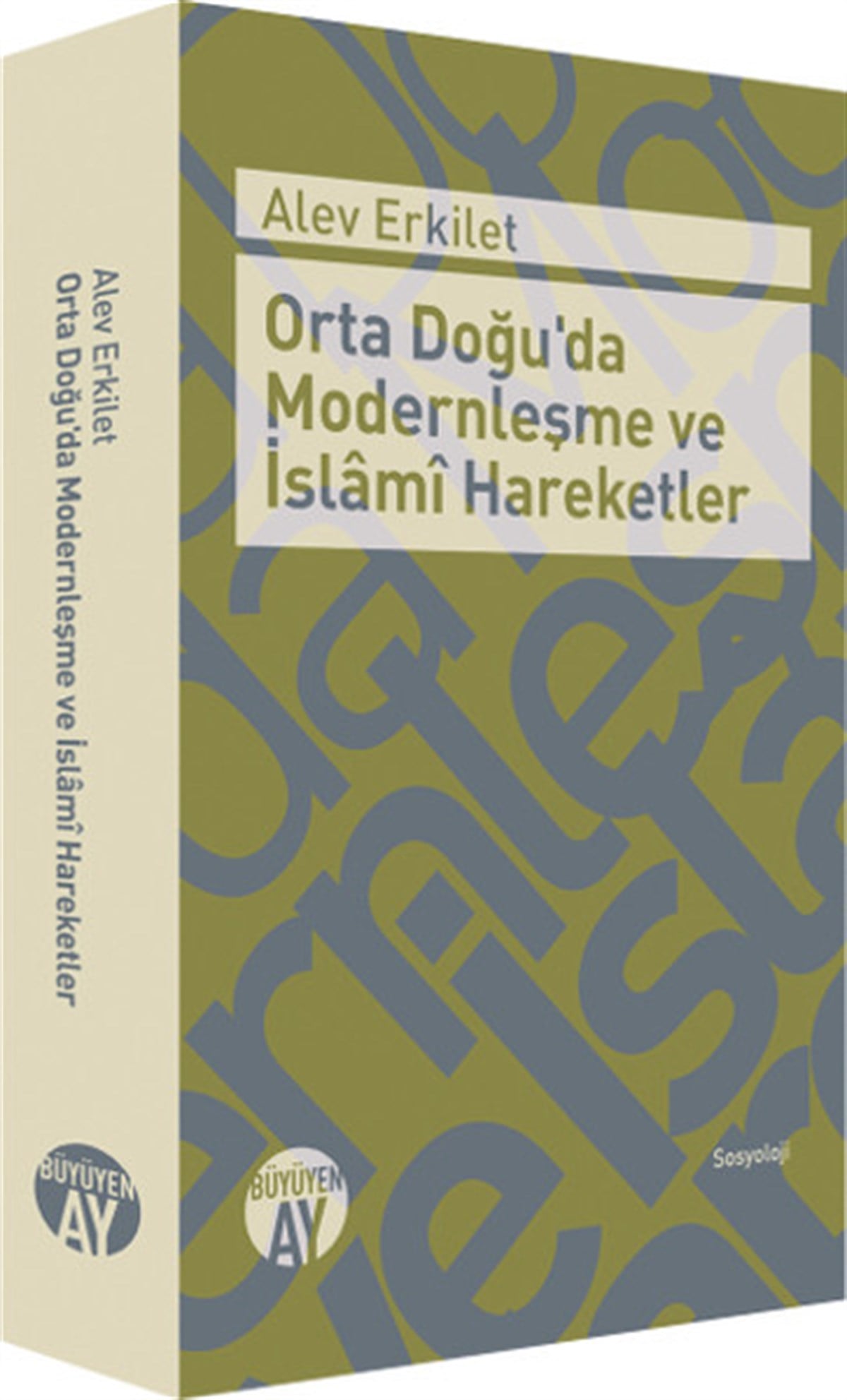 Alev ErkiletSosyoloji KitaplarıOrta Doğu'da Modernleşme ve İslami Hareketler