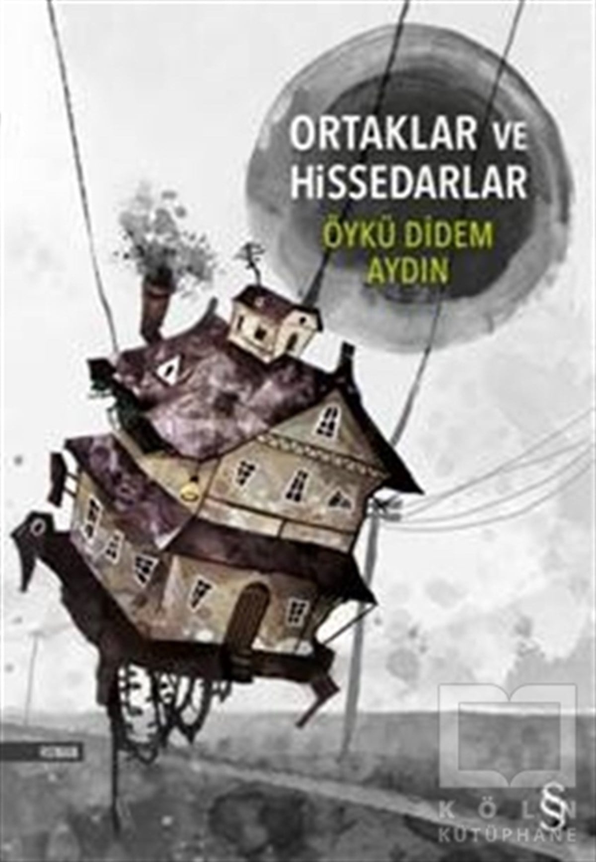 Öykü Didem AydınRomanOrtaklar ve Hissedarlar