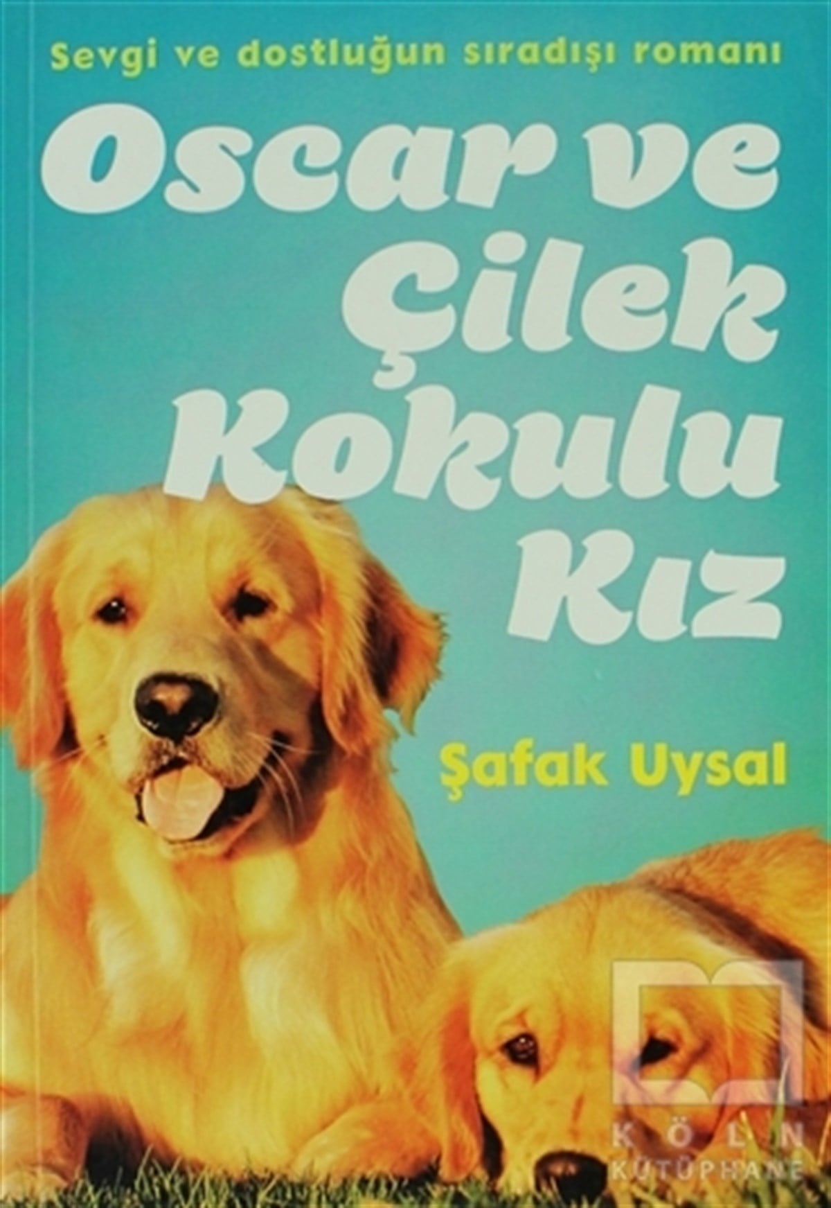 Şafak UysalRoman-ÖyküOscar ve Çilek Kokulu Kız