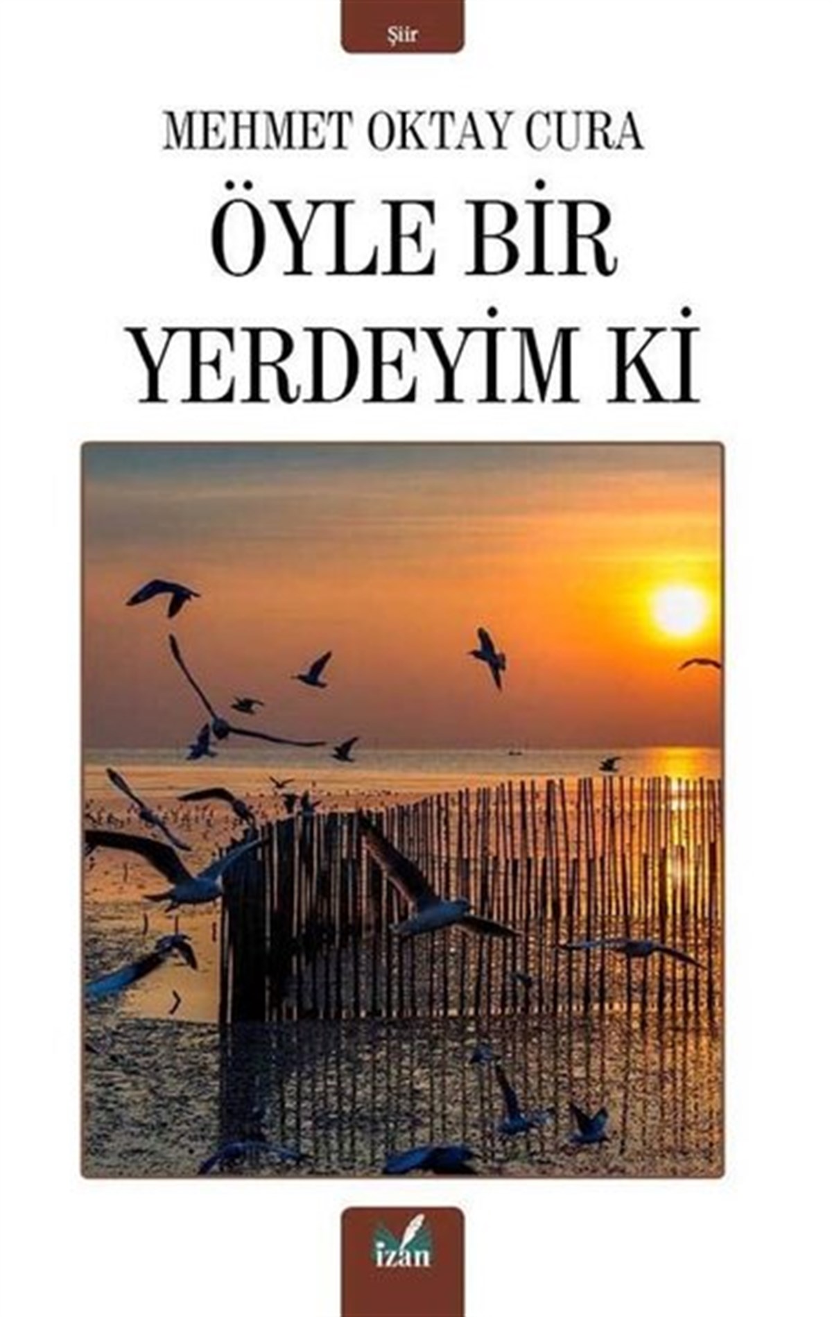 Mehmet Oktay CuraTürk ŞiiriÖyle Bir Yerdeyim Ki