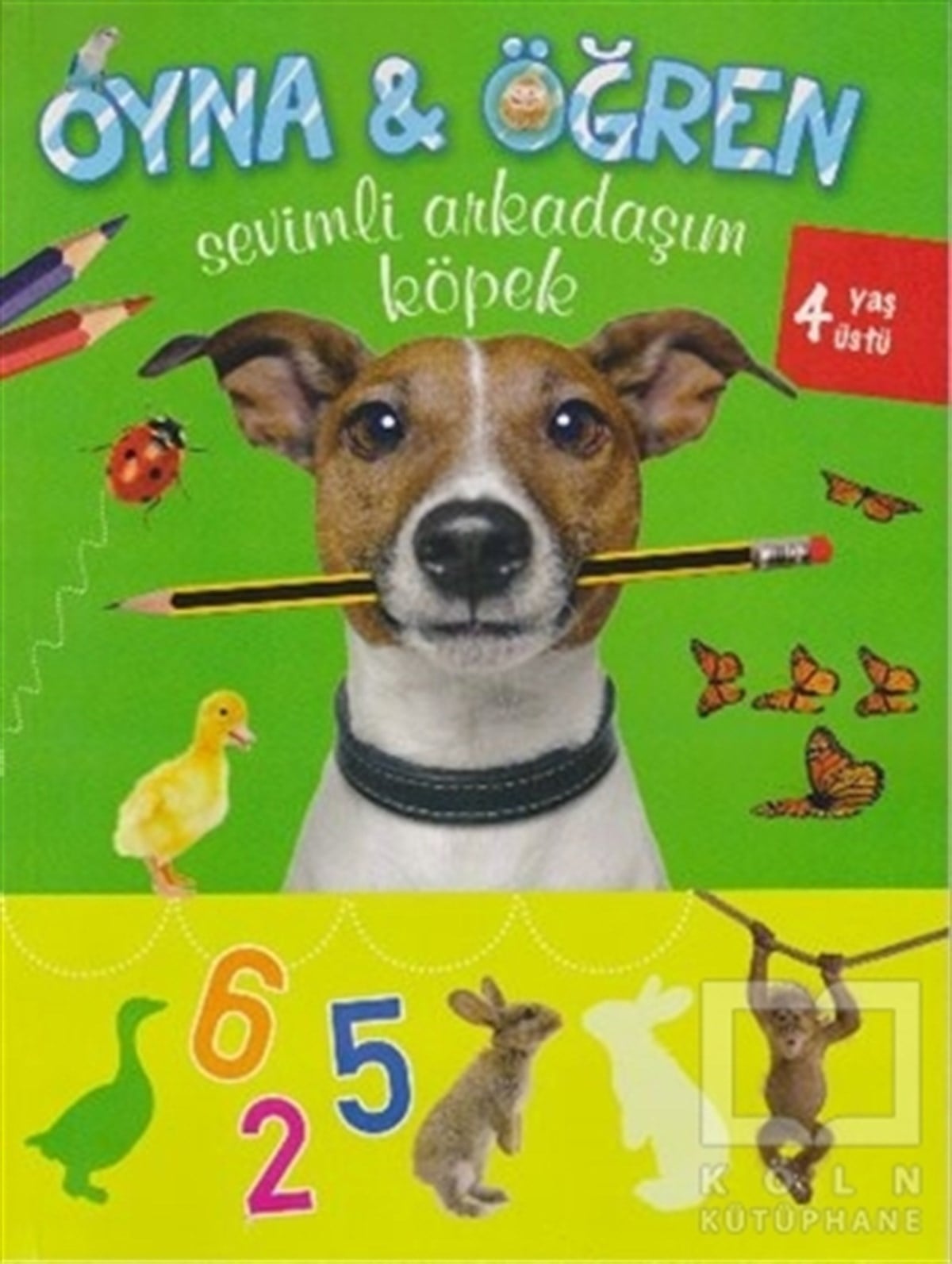 KolektifDiğerOyna - Öğren / Sevimli Arkadaşım Köpek