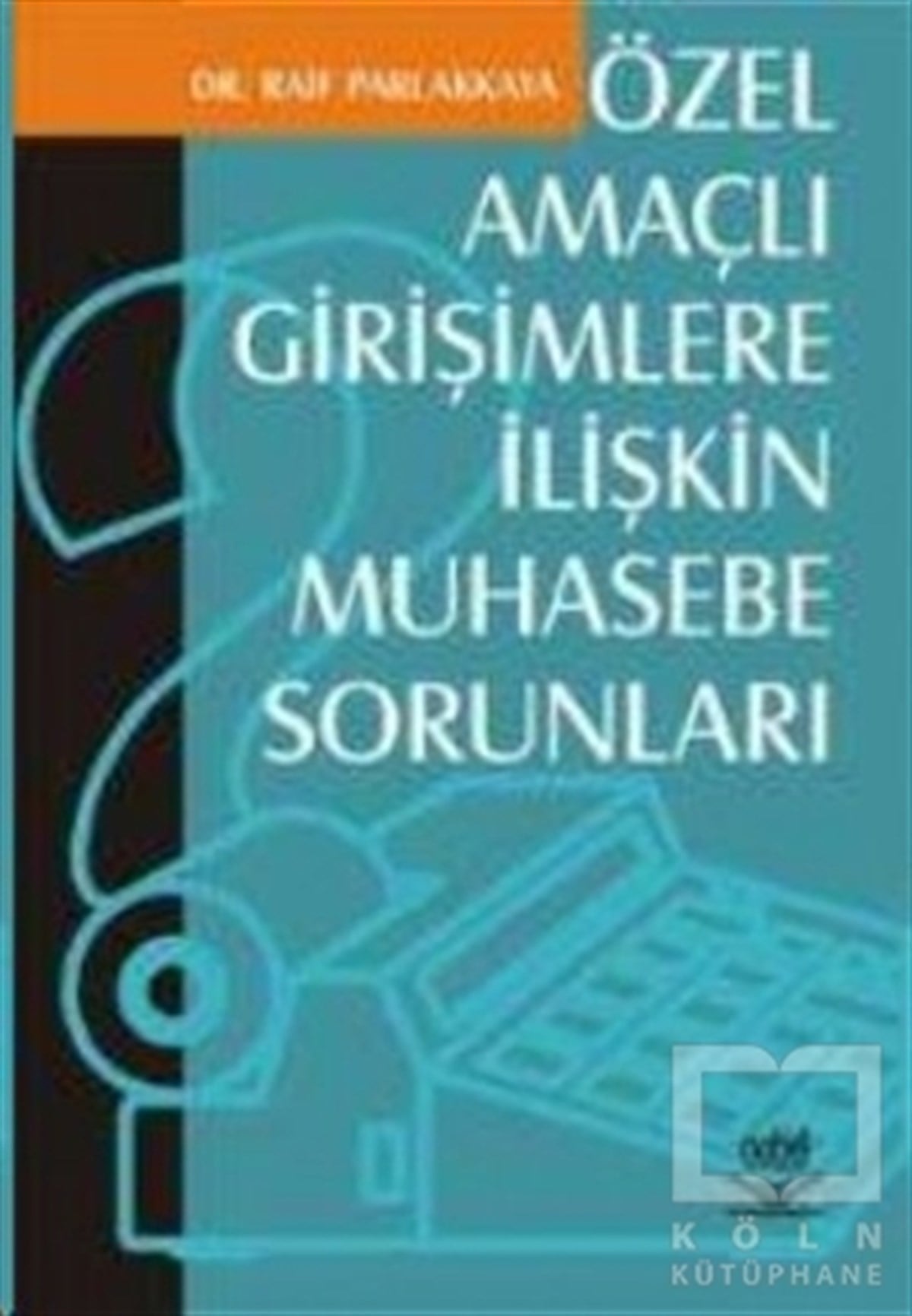 Raif ParlakkayaAkademikÖzel Amaçlı Girişimlere İlişkin Muhasebe Sorunları