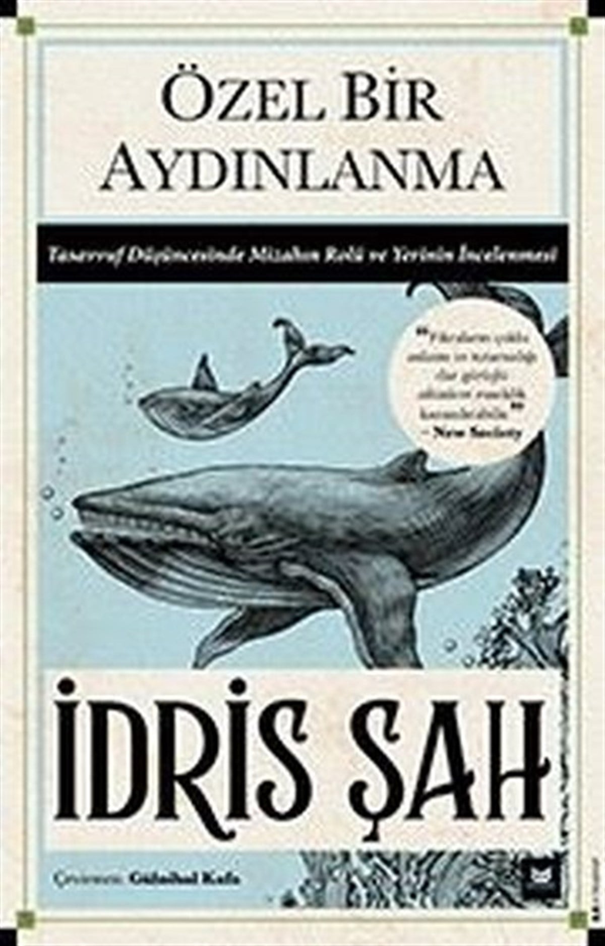 İdris ŞahTasavvuf KitaplarıÖzel Bir Aydınlanma - Tasavvuf Düşüncesinde Mizahın Rolü ve Yerinin İncelenmesi
