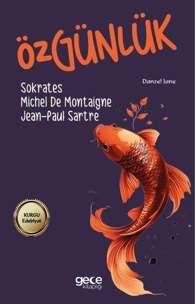 Jean-Paul SartreEleştiri & Kuram & İnceleme KitaplarıÖzgünlük